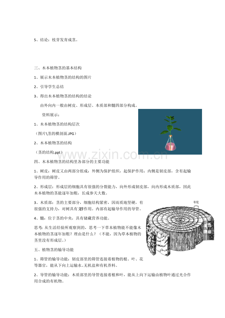 第四节植物茎的输导功能.docx_第2页