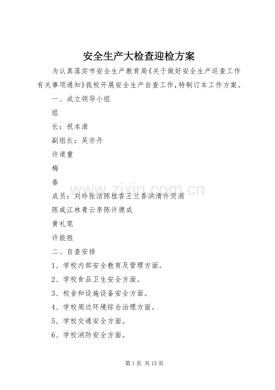 安全生产大检查迎检实施方案.docx_第1页