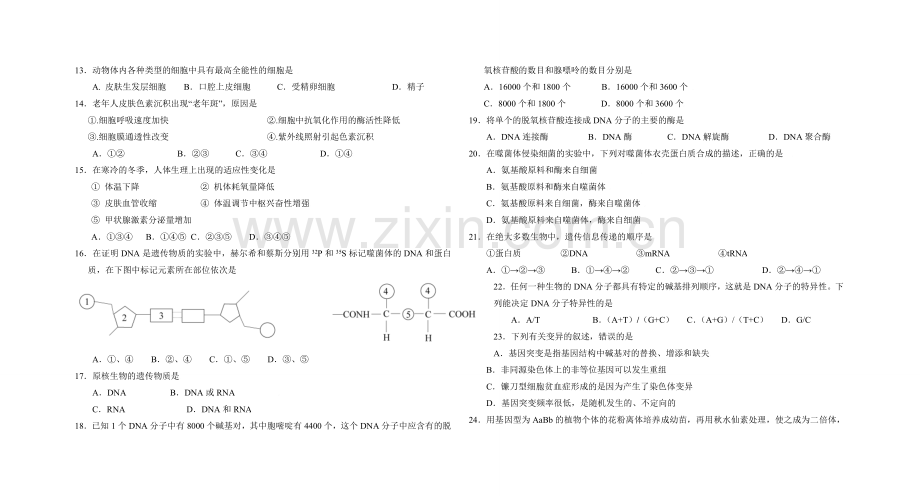 高中生物学业水平测试模拟卷(五).doc_第2页
