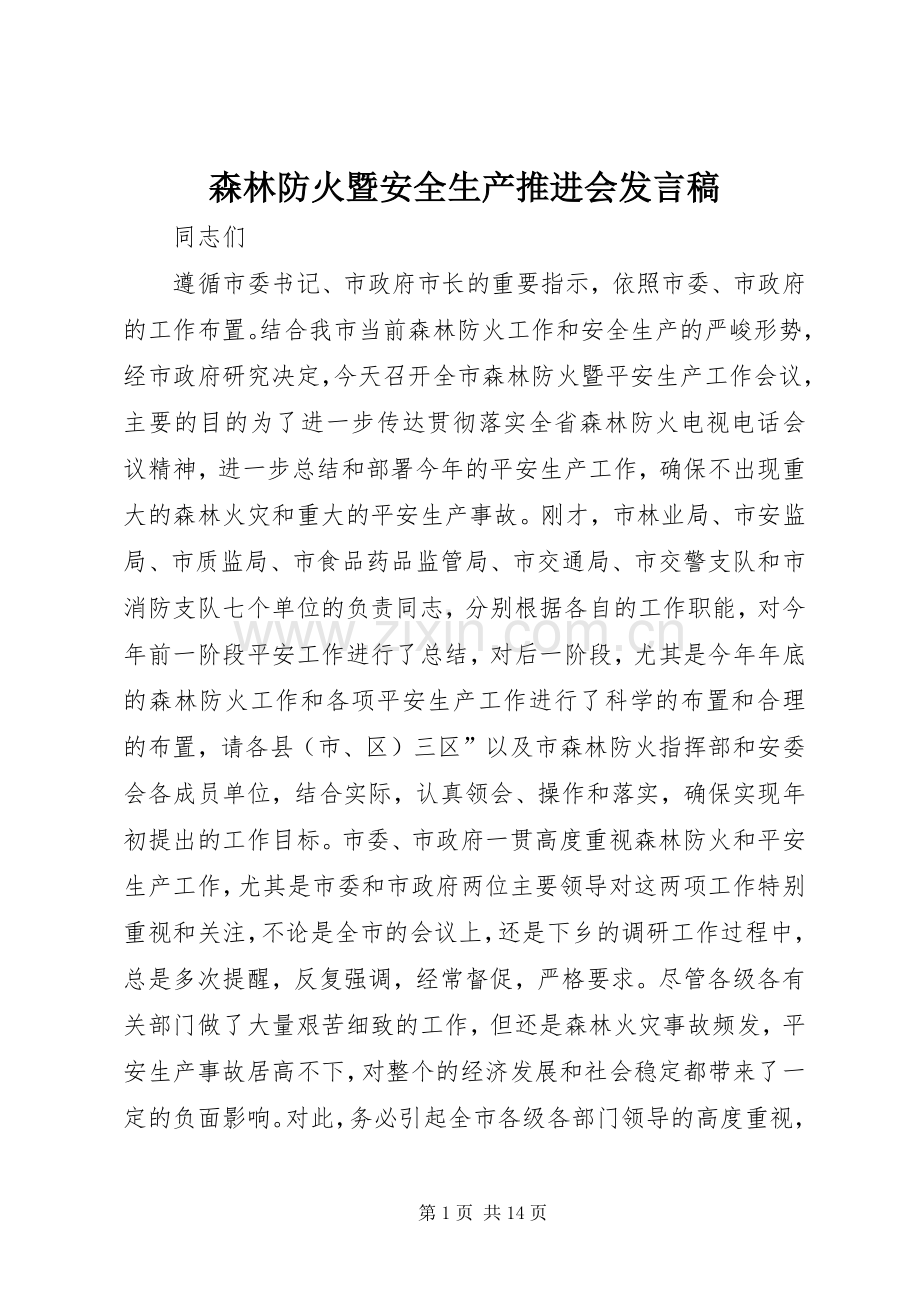 森林防火暨安全生产推进会发言稿.docx_第1页