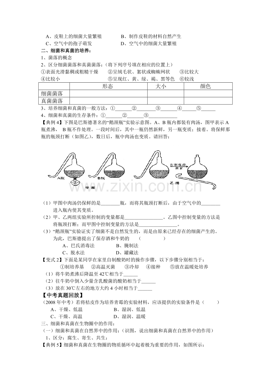 细菌和真菌学案.doc_第2页