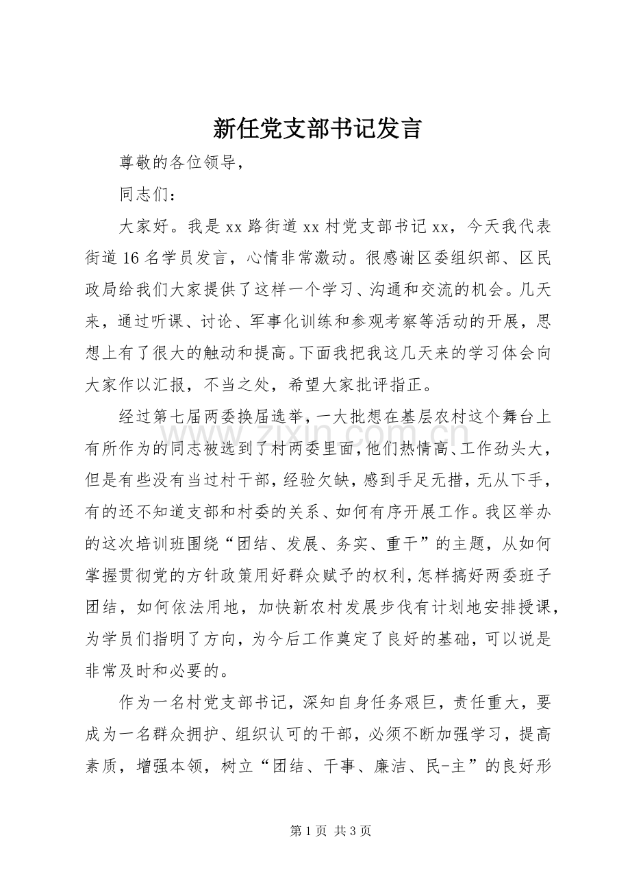 新任党支部书记发言.docx_第1页