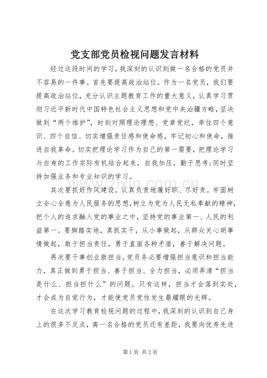 党支部党员检视问题发言材料.docx_第1页