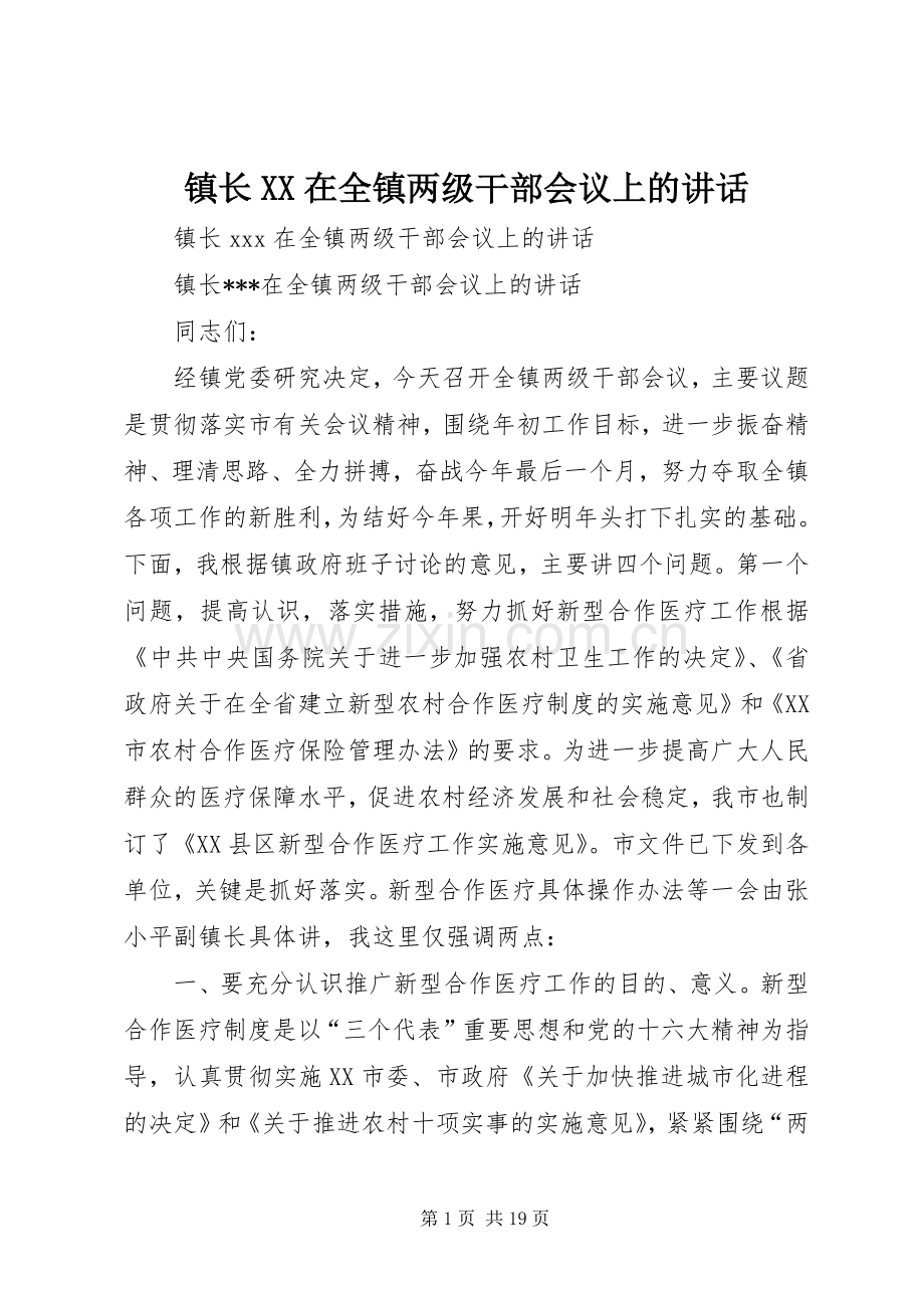 镇长XX在全镇两级干部会议上的讲话.docx_第1页
