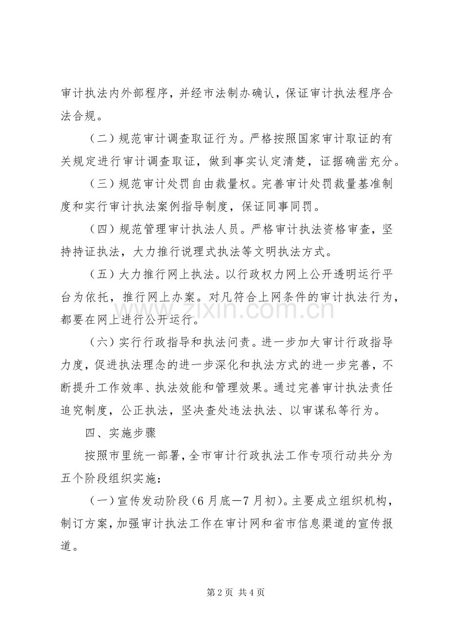 审计执法专项行动工作实施方案.docx_第2页