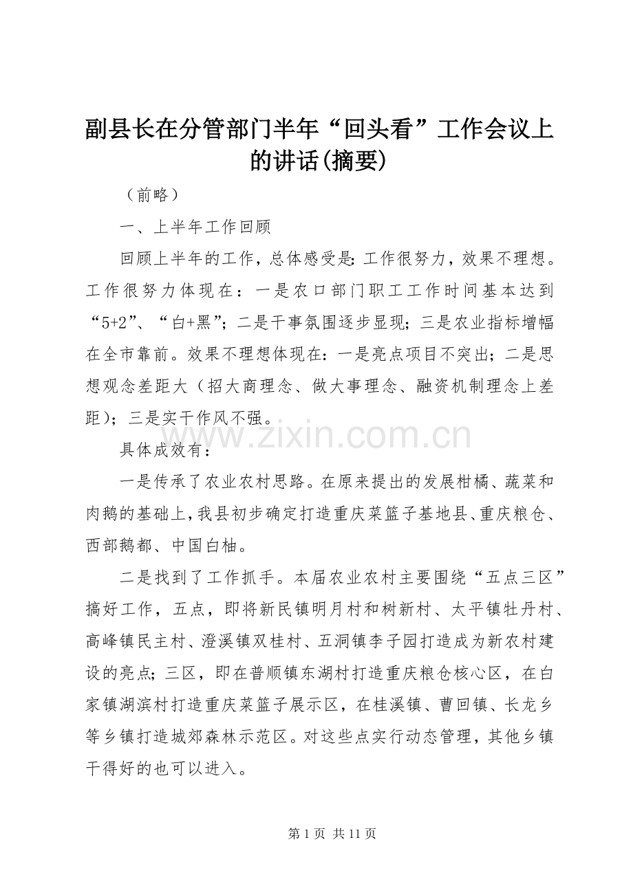 副县长在分管部门半年“回头看”工作会议上的讲话(摘要).docx_第1页