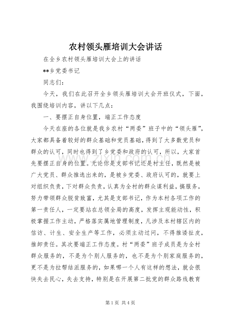 农村领头雁培训大会讲话.docx_第1页