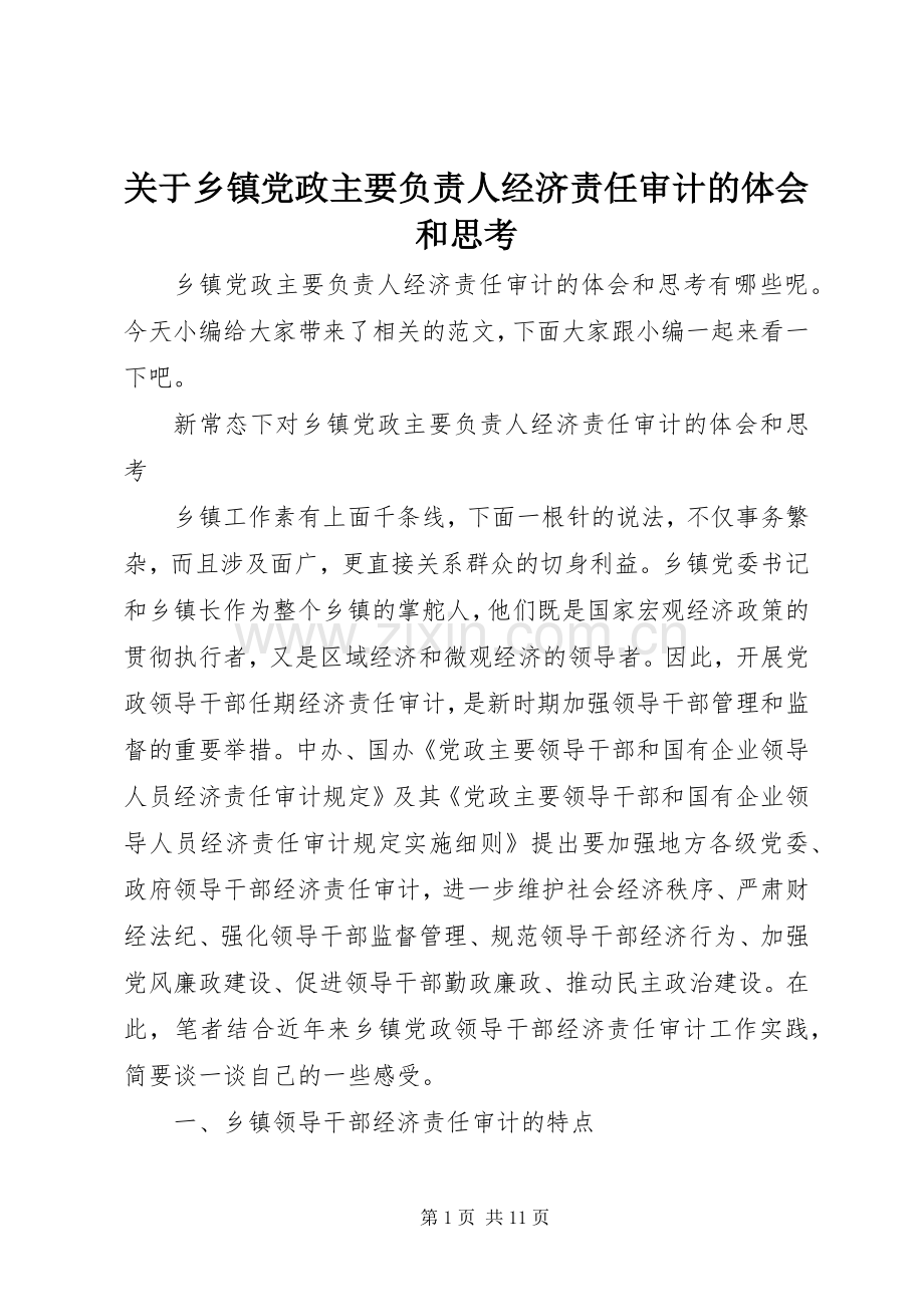 关于乡镇党政主要负责人经济责任审计的体会和思考.docx_第1页