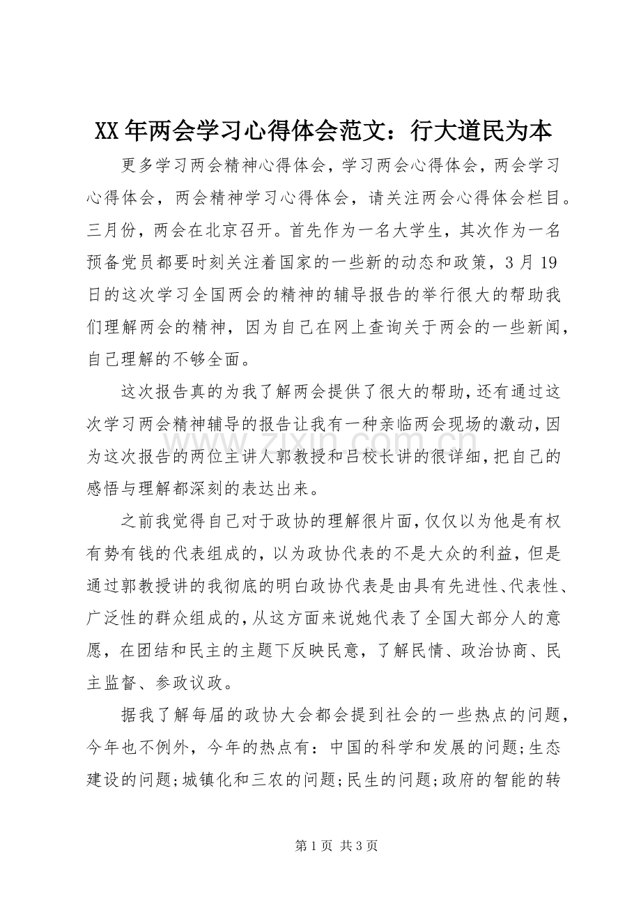 XX年两会学习心得体会范文：行大道民为本.docx_第1页