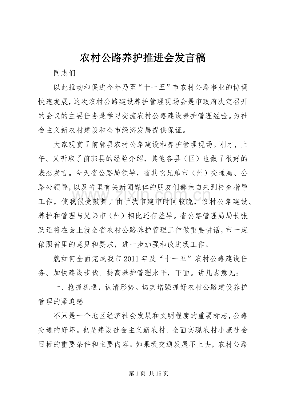 农村公路养护推进会发言稿.docx_第1页