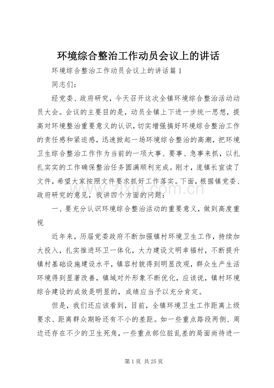 环境综合整治工作动员会议上的讲话.docx_第1页