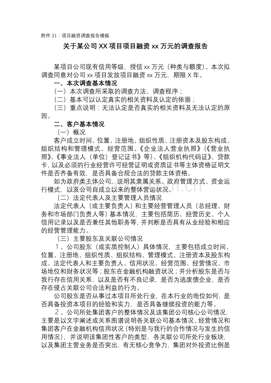 项目融资贷款调查报告模板.doc_第1页