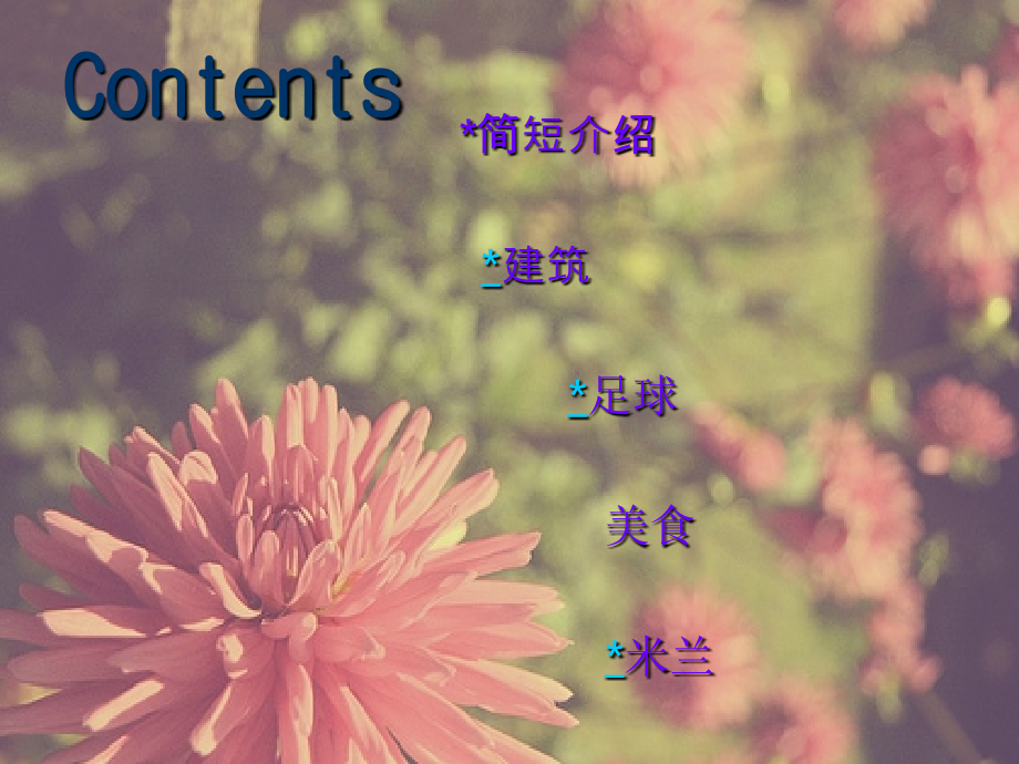 美丽的村庄.ppt_第2页