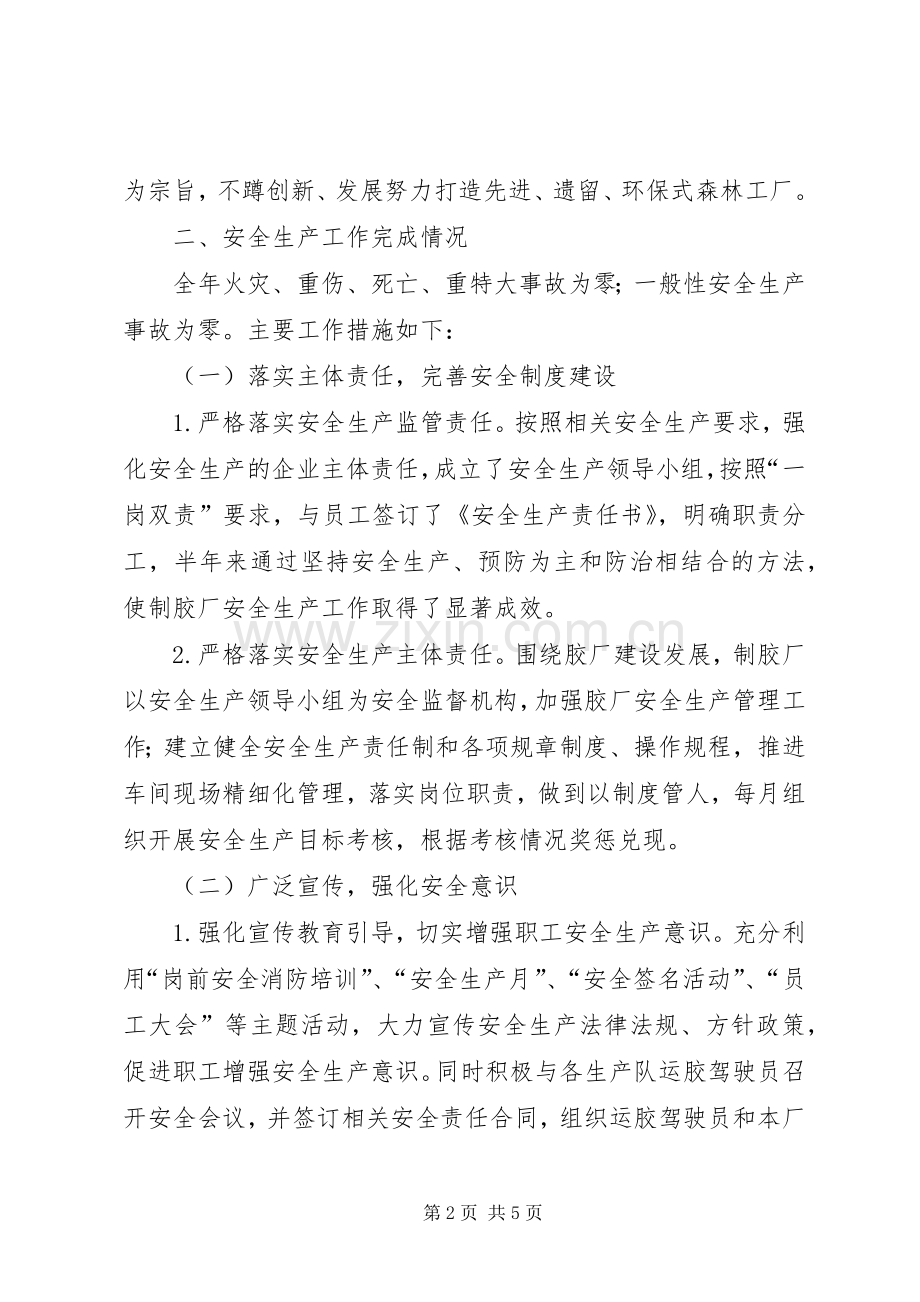 制胶厂安全生产交流发言.docx_第2页