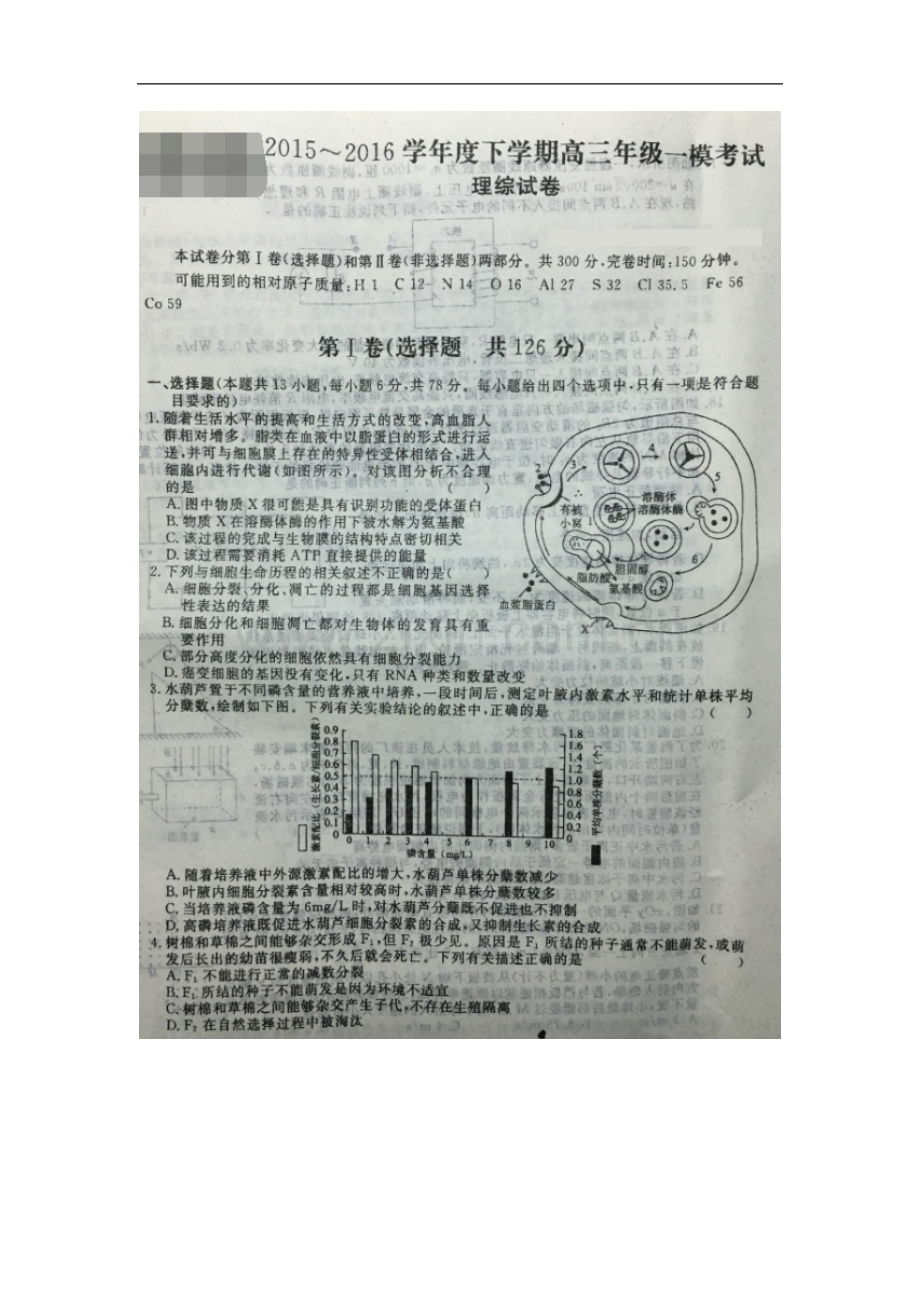 安徽省六安市第一中学2016届高三下学期一模考试理科综合试题.doc_第1页
