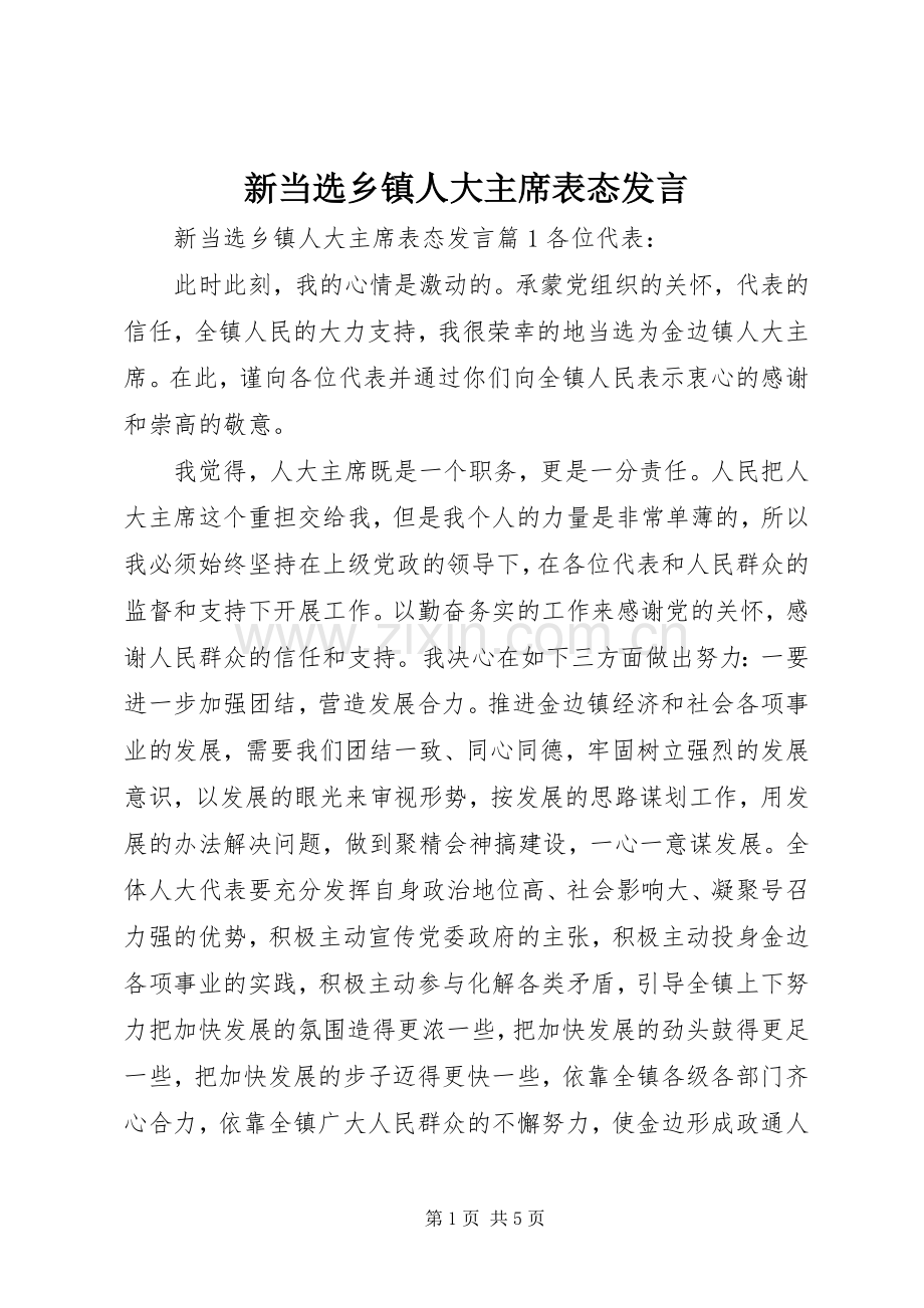 新当选乡镇人大主席表态发言.docx_第1页