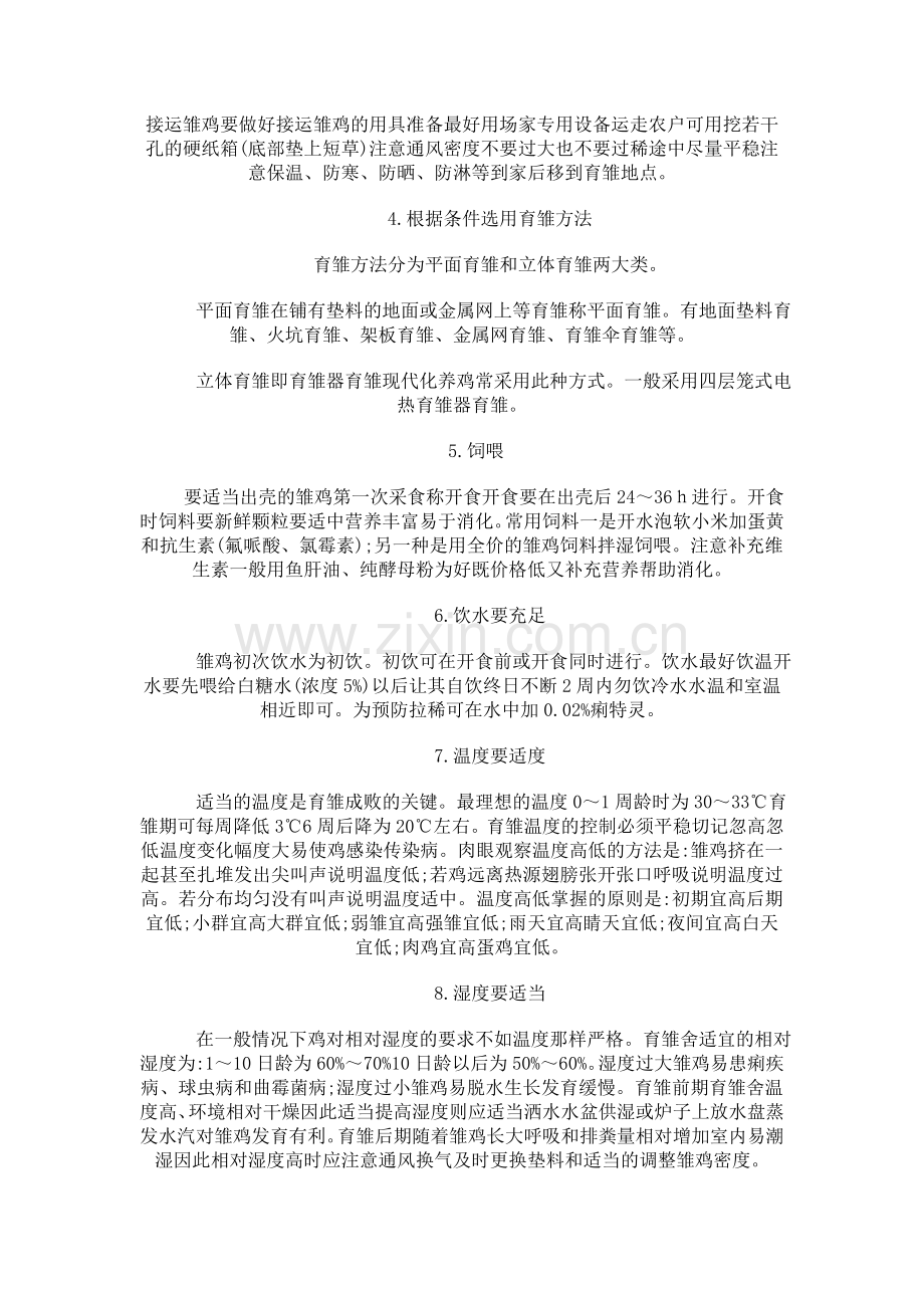 养好雏鸡的技术要领.doc_第2页