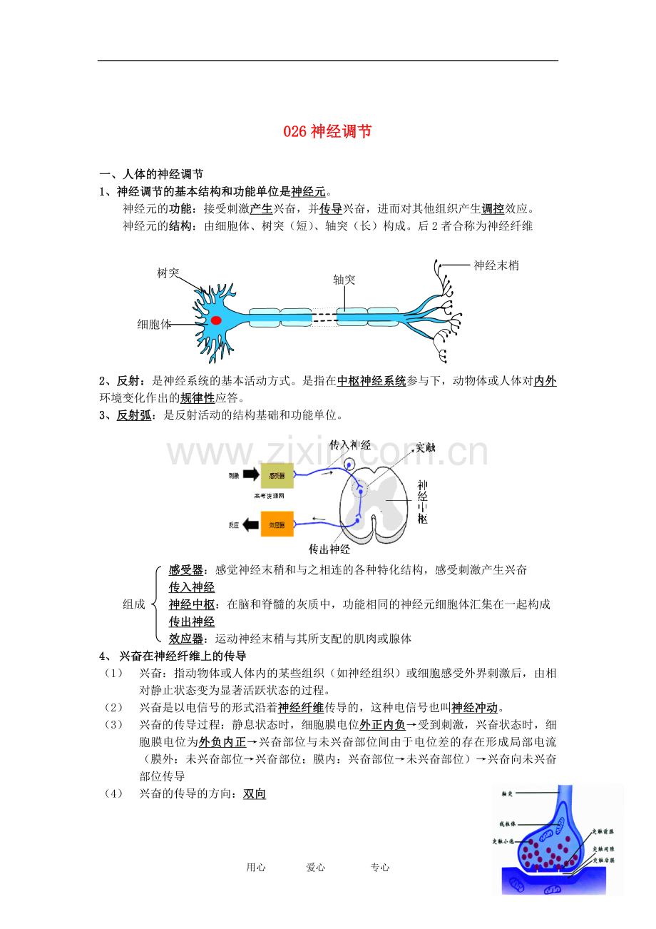 河北省广平一中高三生物总复习学案-026-神经调节(艺术班).doc_第1页