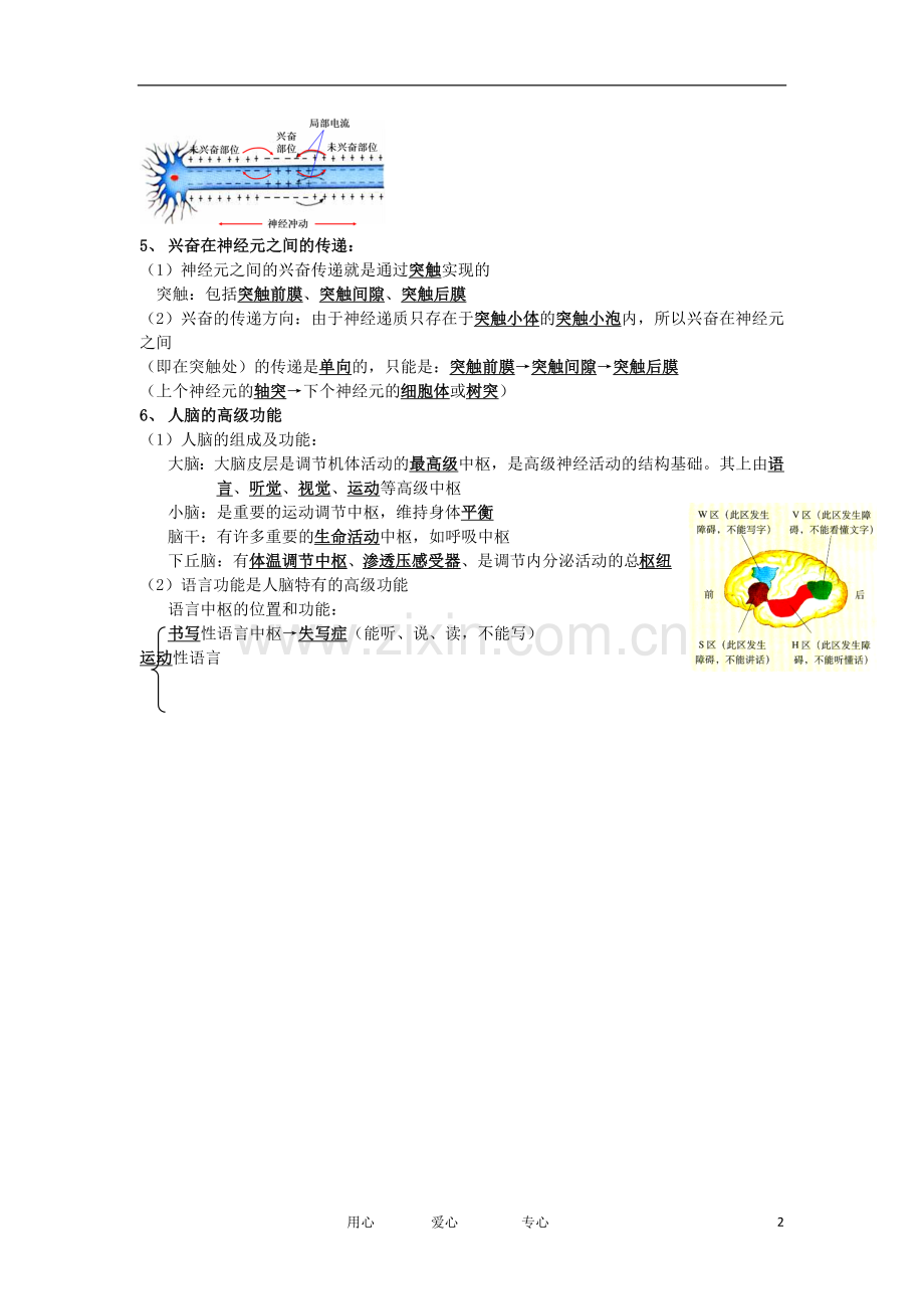 河北省广平一中高三生物总复习学案-026-神经调节(艺术班).doc_第2页