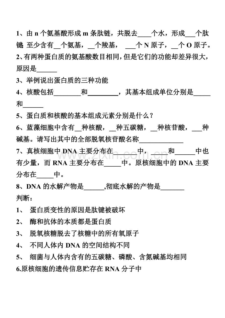 核酸默写及答案.doc_第1页