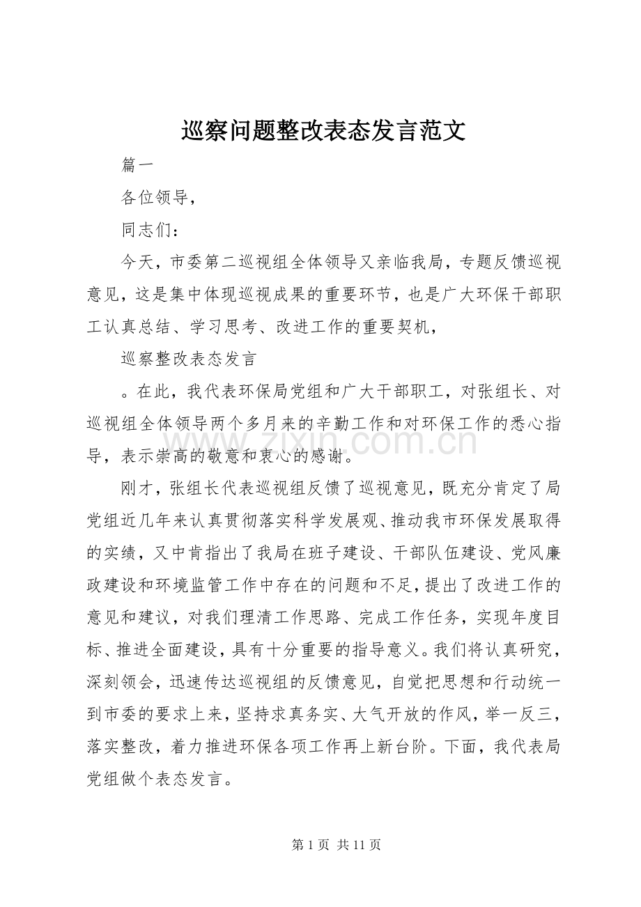 巡察问题整改表态发言范文.docx_第1页