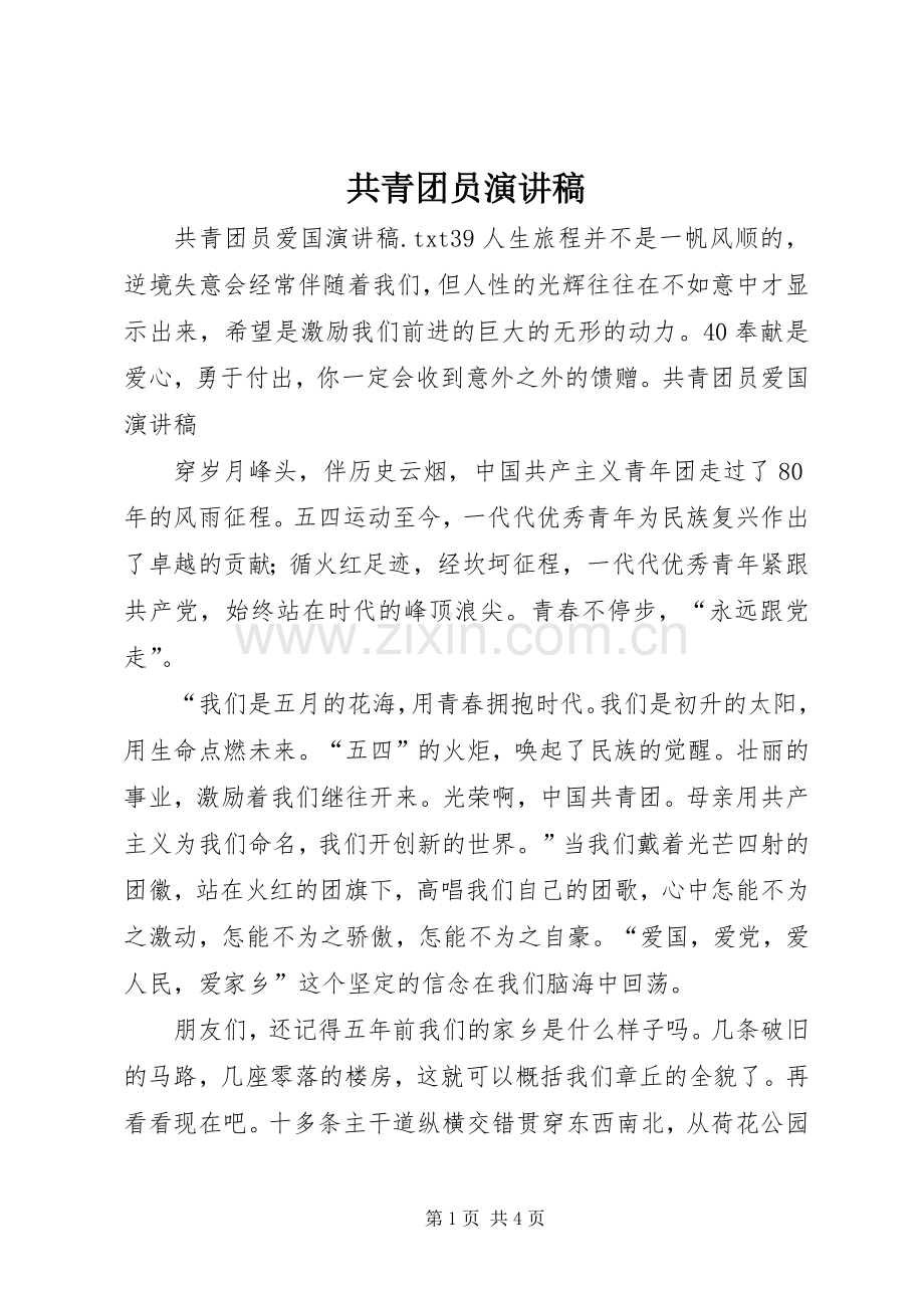 共青团员演讲稿_2.docx_第1页