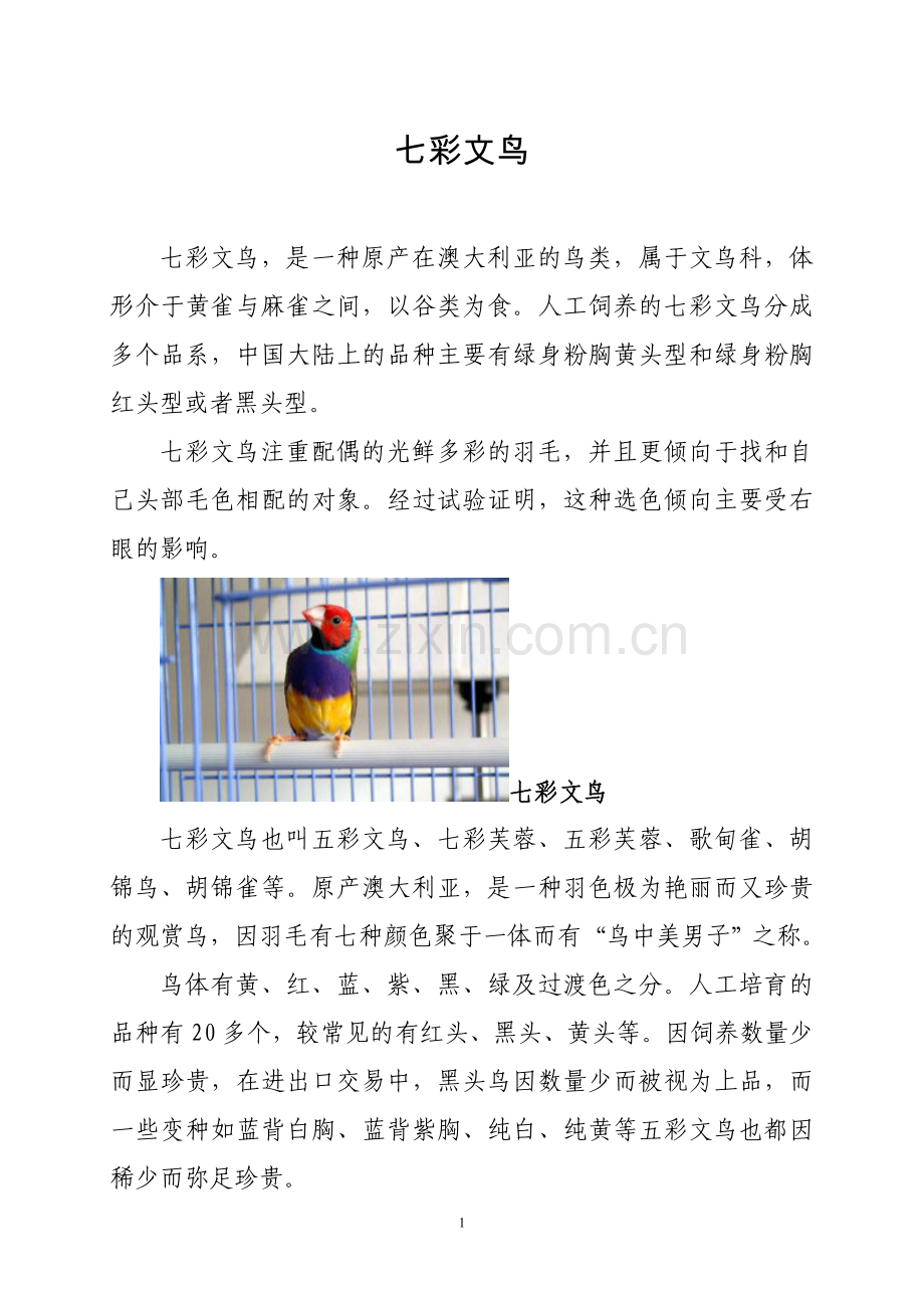 体形介于黄雀与麻雀之间的七彩文鸟.doc_第1页
