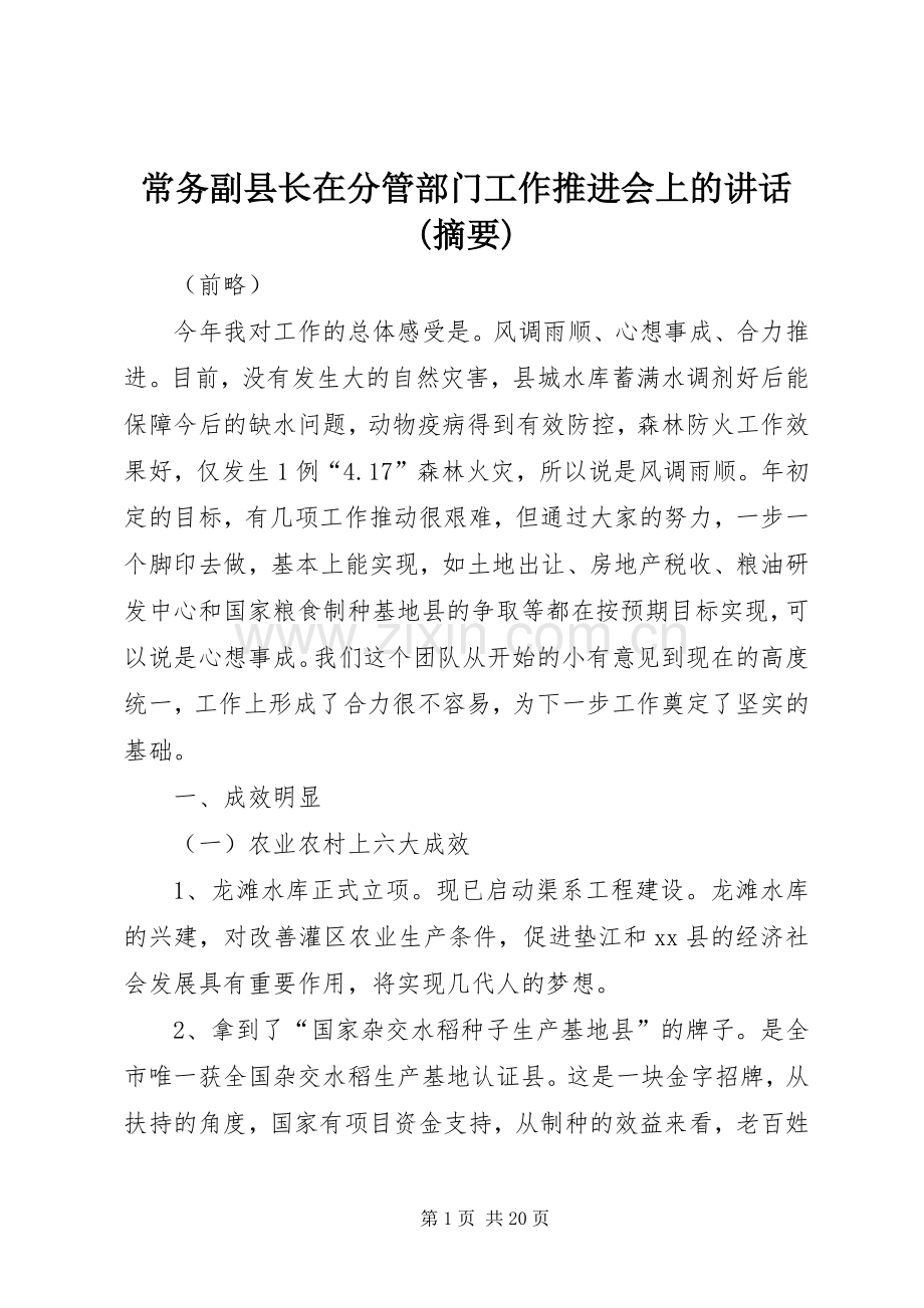 常务副县长在分管部门工作推进会上的讲话(摘要).docx_第1页