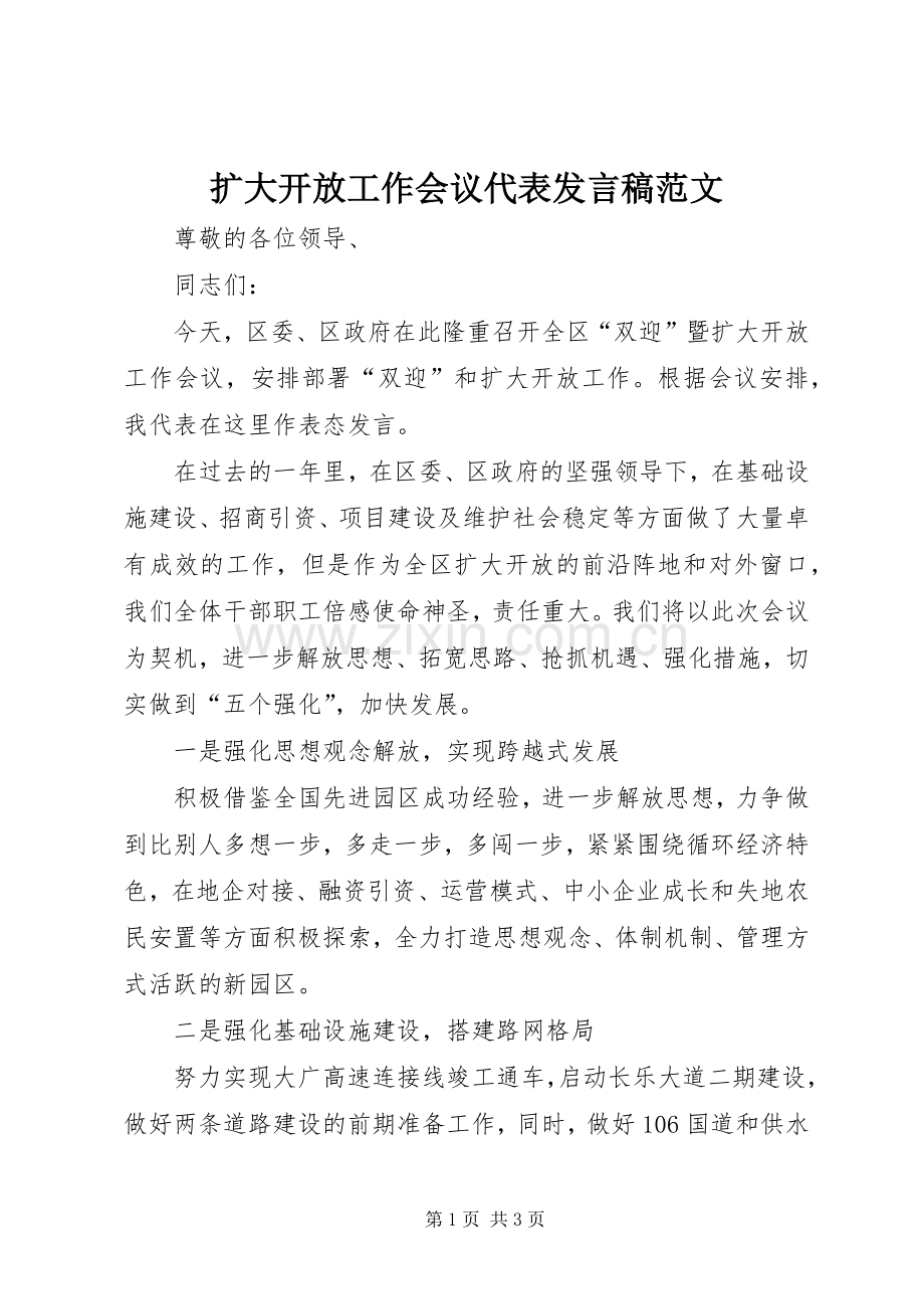 扩大开放工作会议代表发言范文.docx_第1页