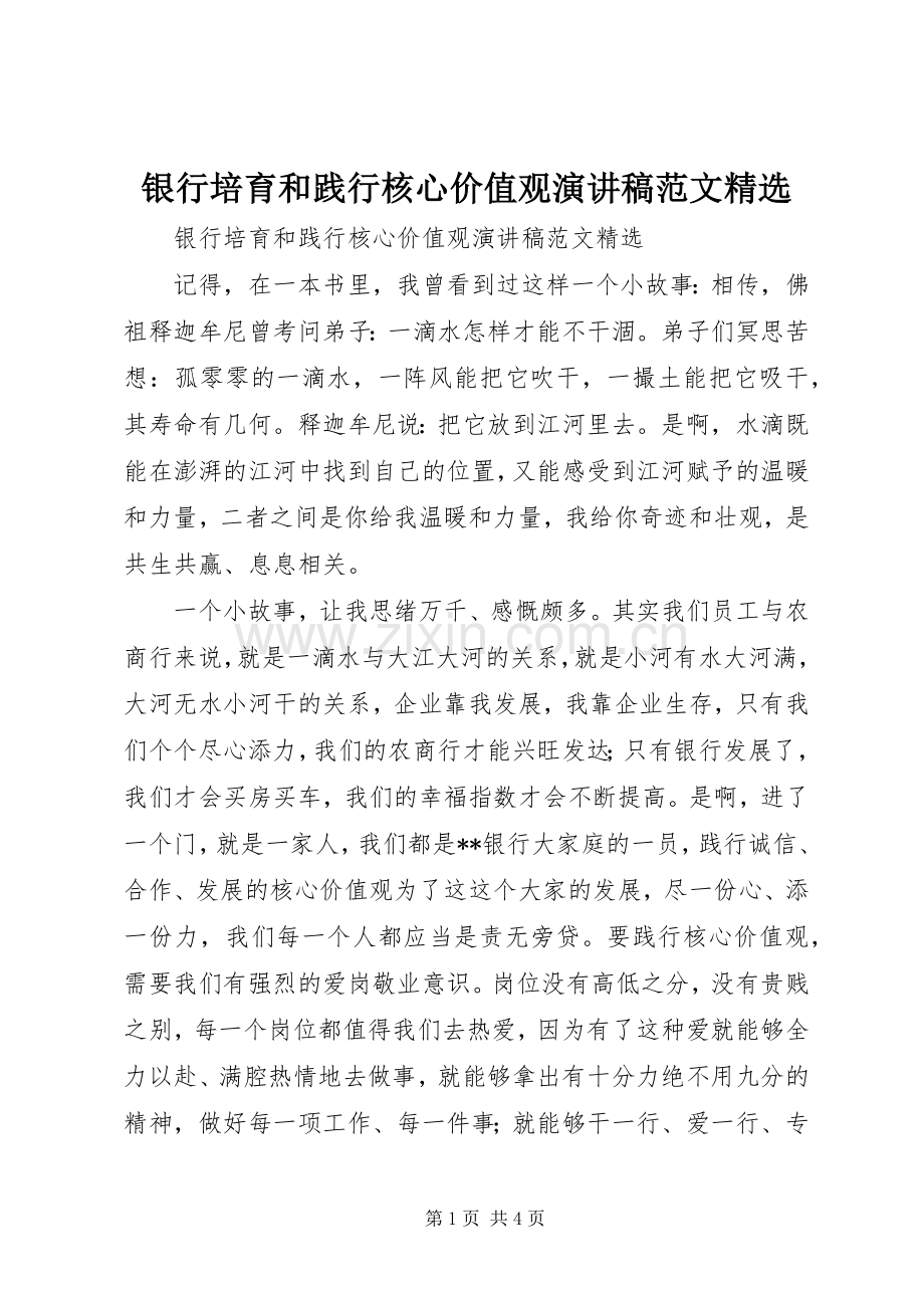 银行培育和践行核心价值观演讲稿范文.docx_第1页