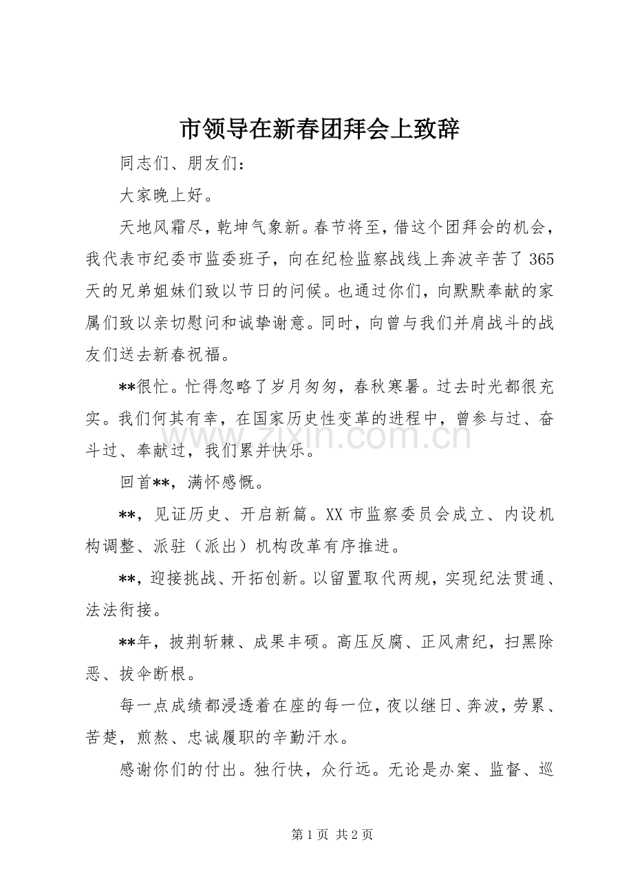 市领导在新春团拜会上致辞.docx_第1页