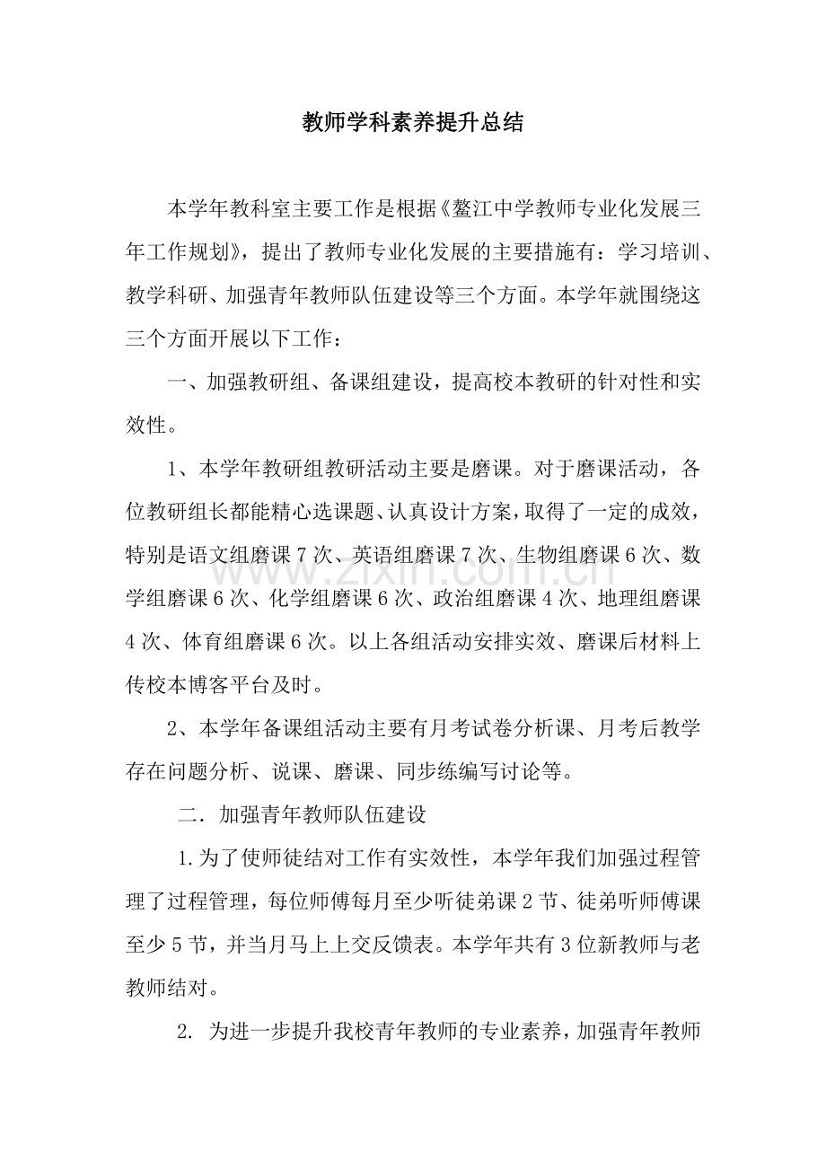 教师学科素养提升总结.docx_第1页
