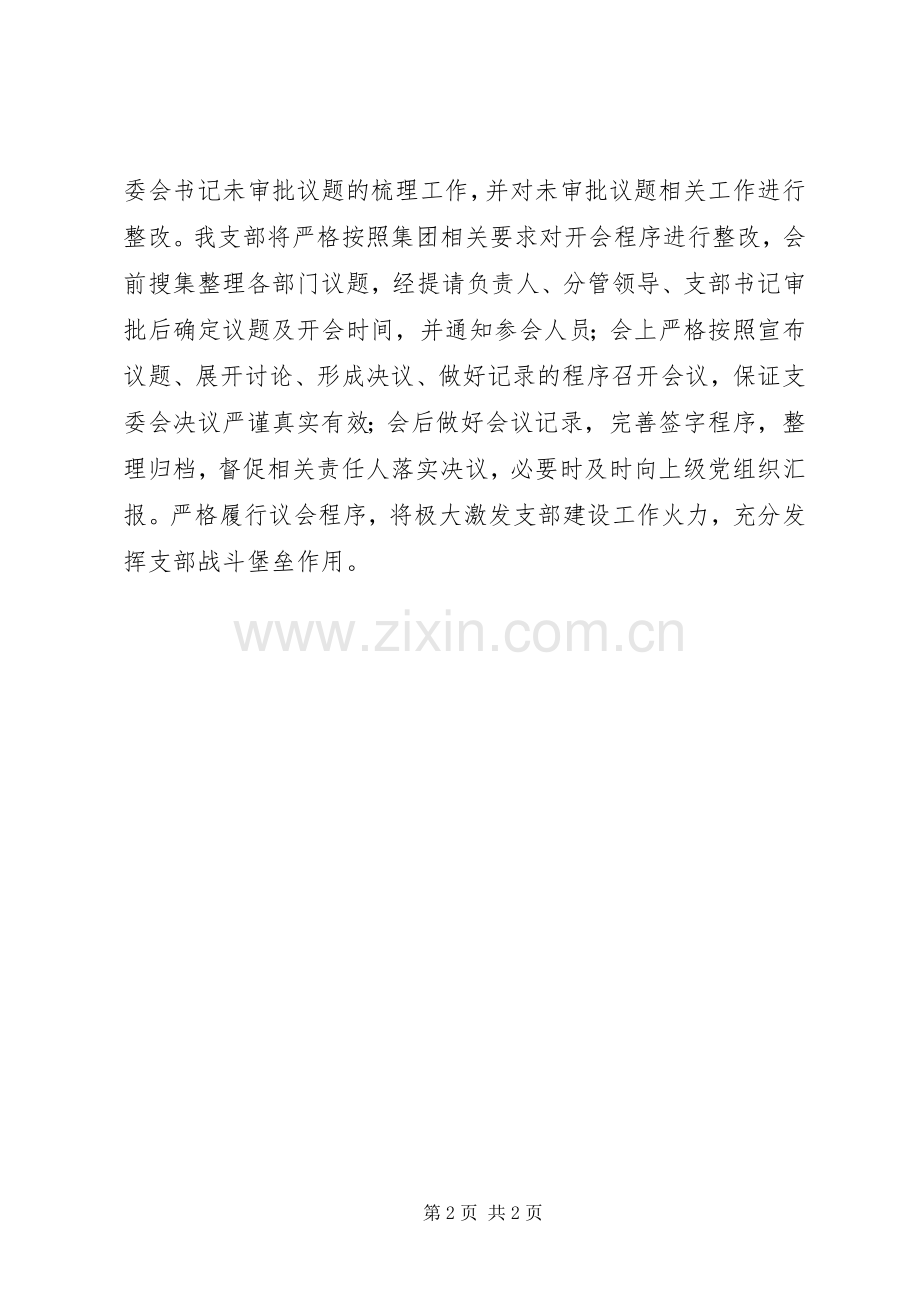 公司支委会整改实施方案.docx_第2页