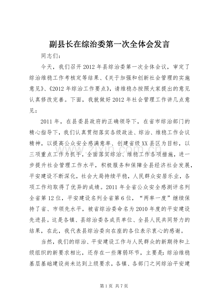 副县长在综治委第一次全体会发言稿.docx_第1页
