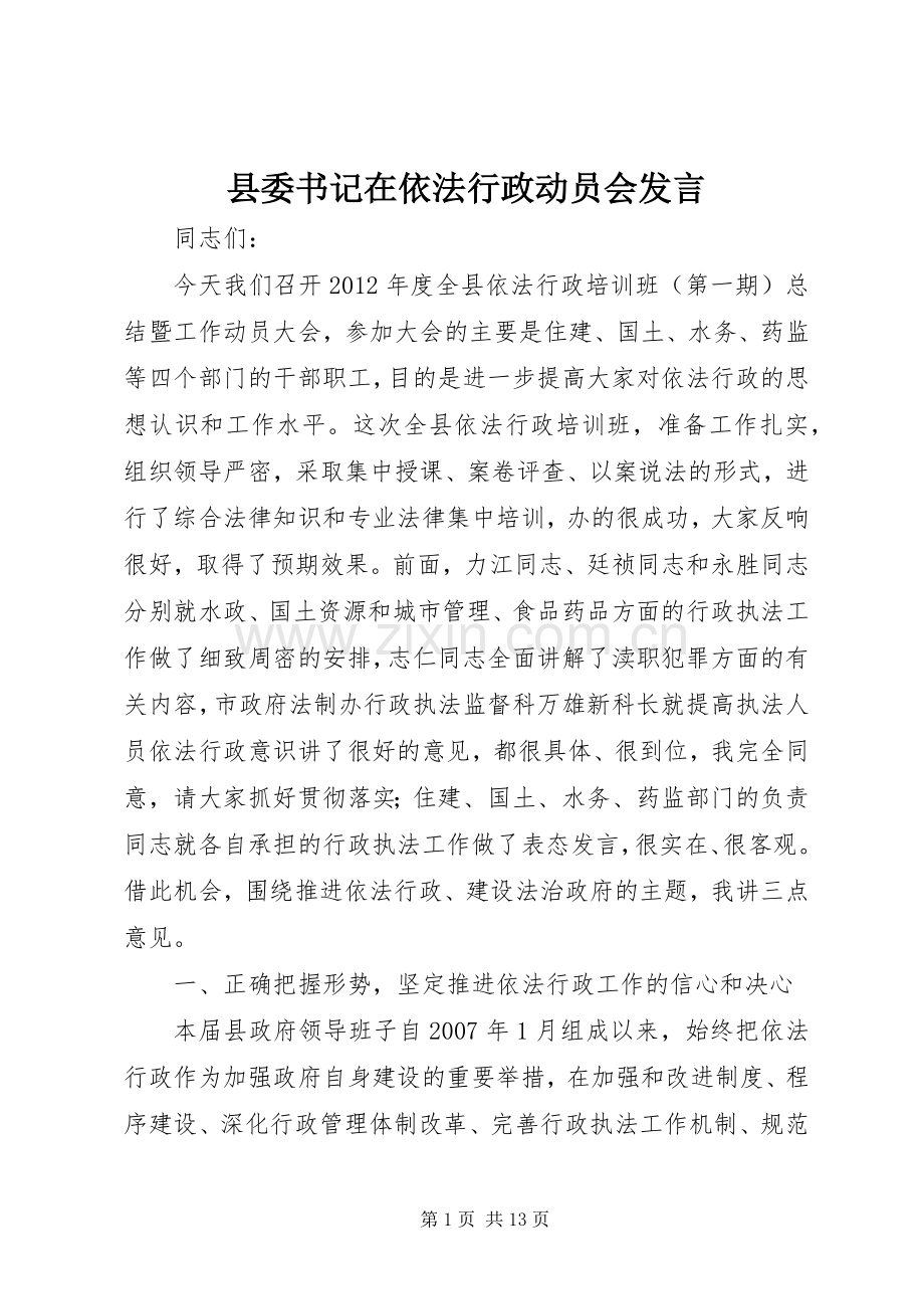 县委书记在依法行政动员会发言.docx_第1页
