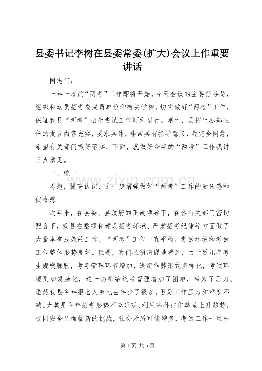 县委书记李树在县委常委(扩大)会议上作重要讲话.docx_第1页