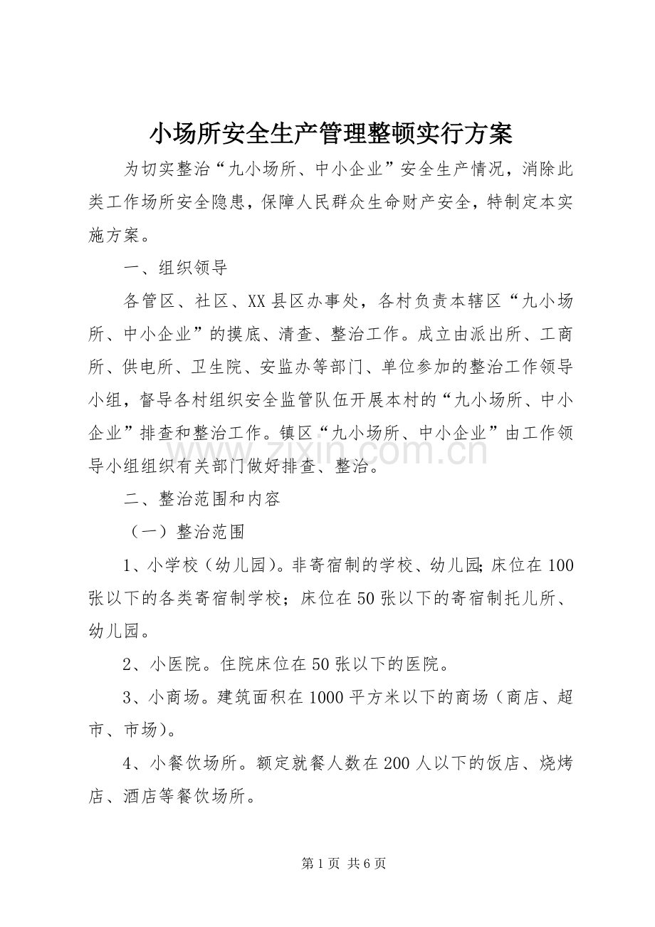 小场所安全生产管理整顿实行实施方案.docx_第1页