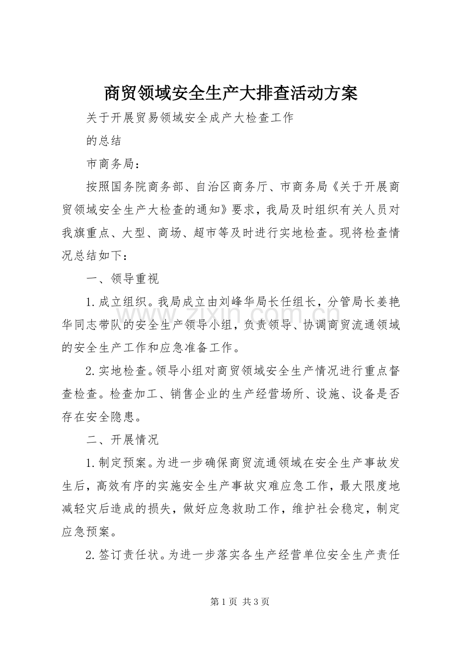 商贸领域安全生产大排查活动实施方案 .docx_第1页
