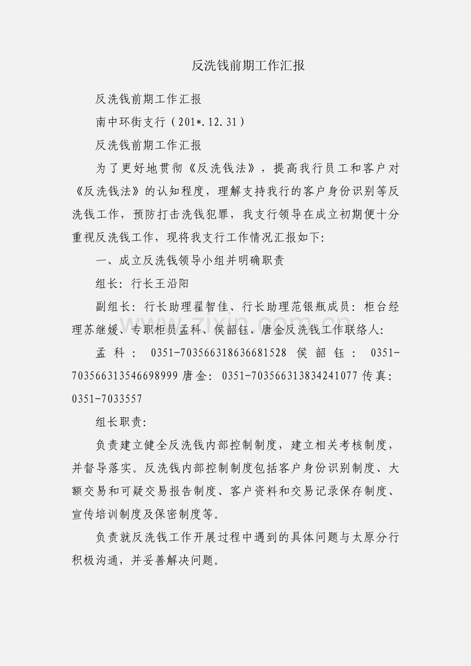 反洗钱前期工作汇报.docx_第1页