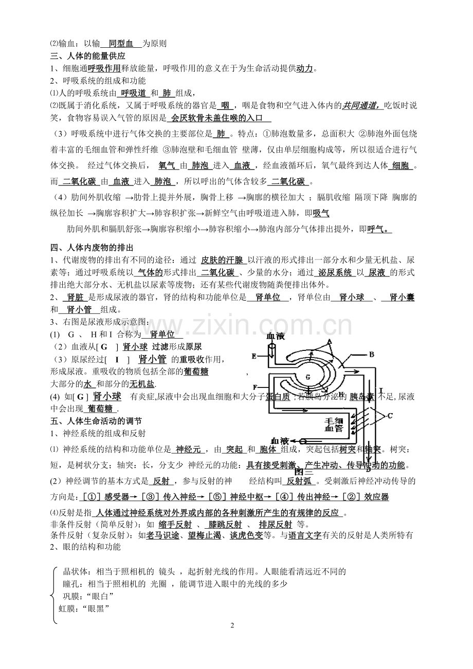 七年级下生物复习提纲.doc_第2页