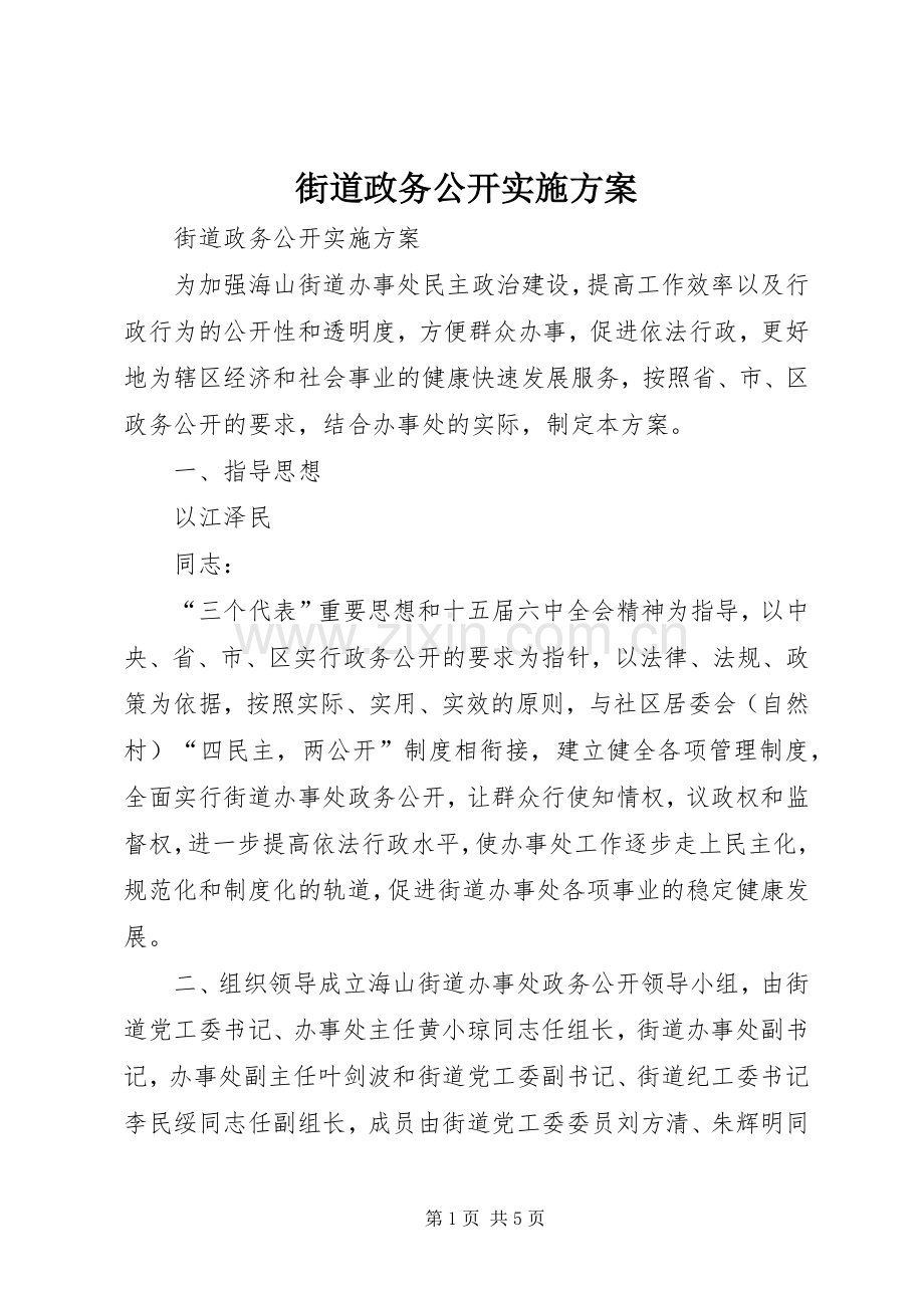 街道政务公开方案.docx_第1页