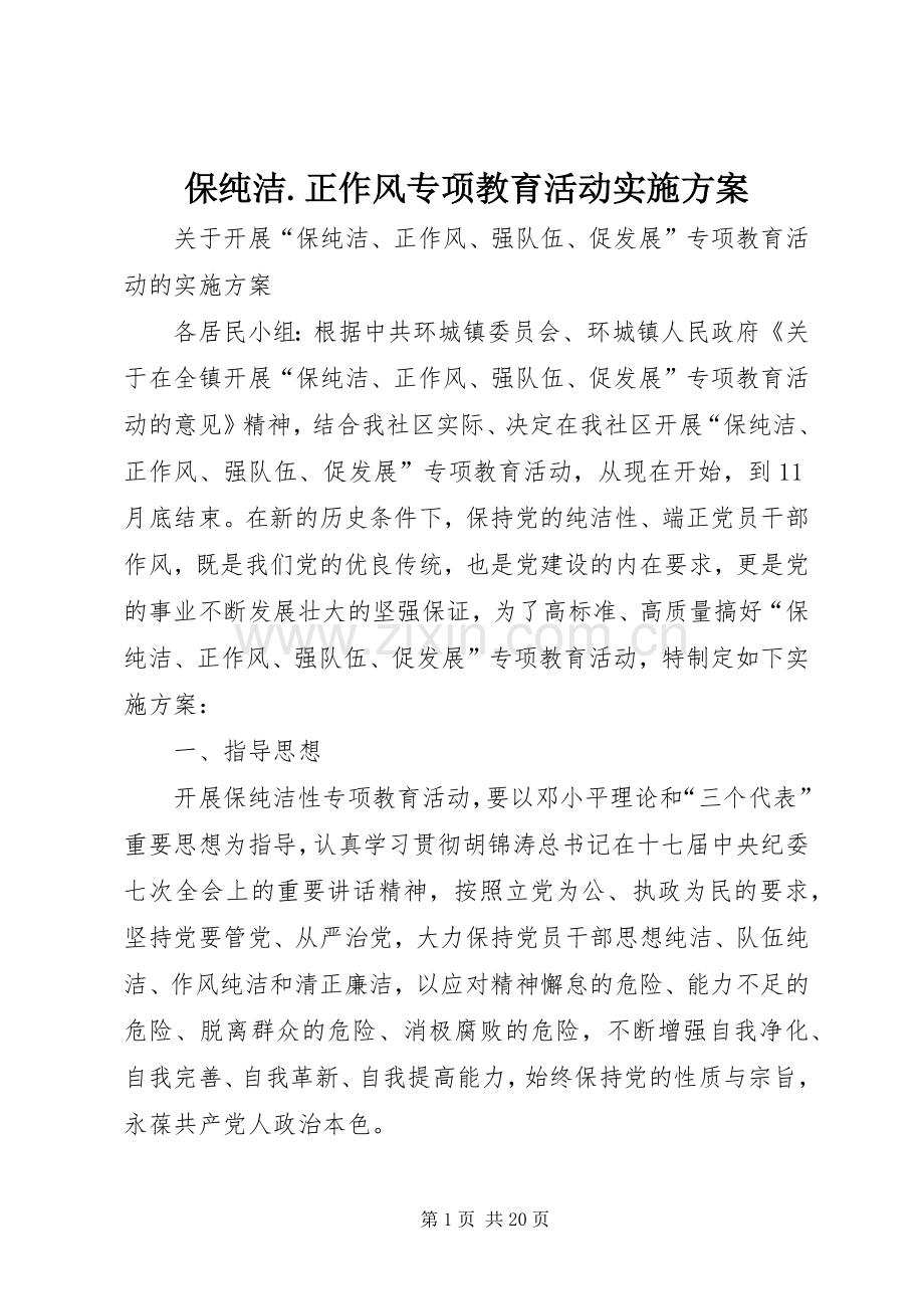 保纯洁.正作风专项教育活动方案.docx_第1页