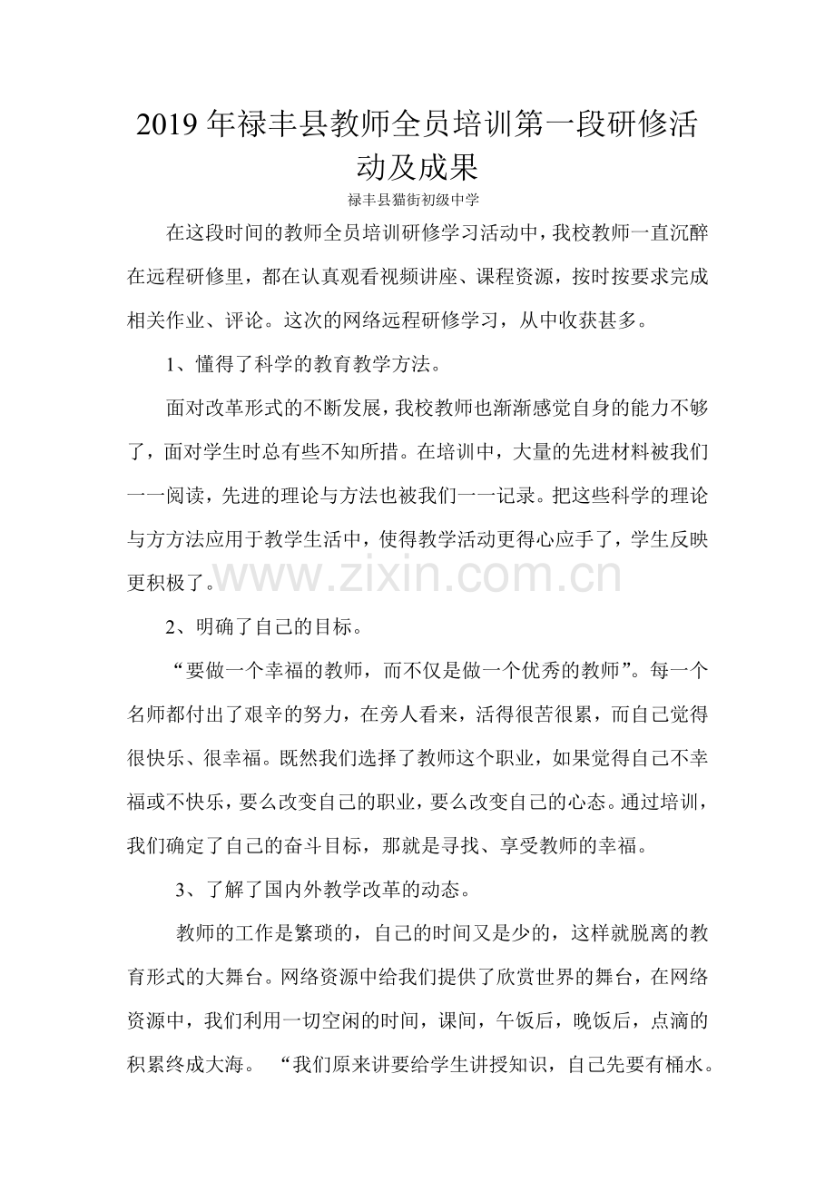 2019年禄丰县教师全员培训第一阶段段研修活动及成果.doc_第1页