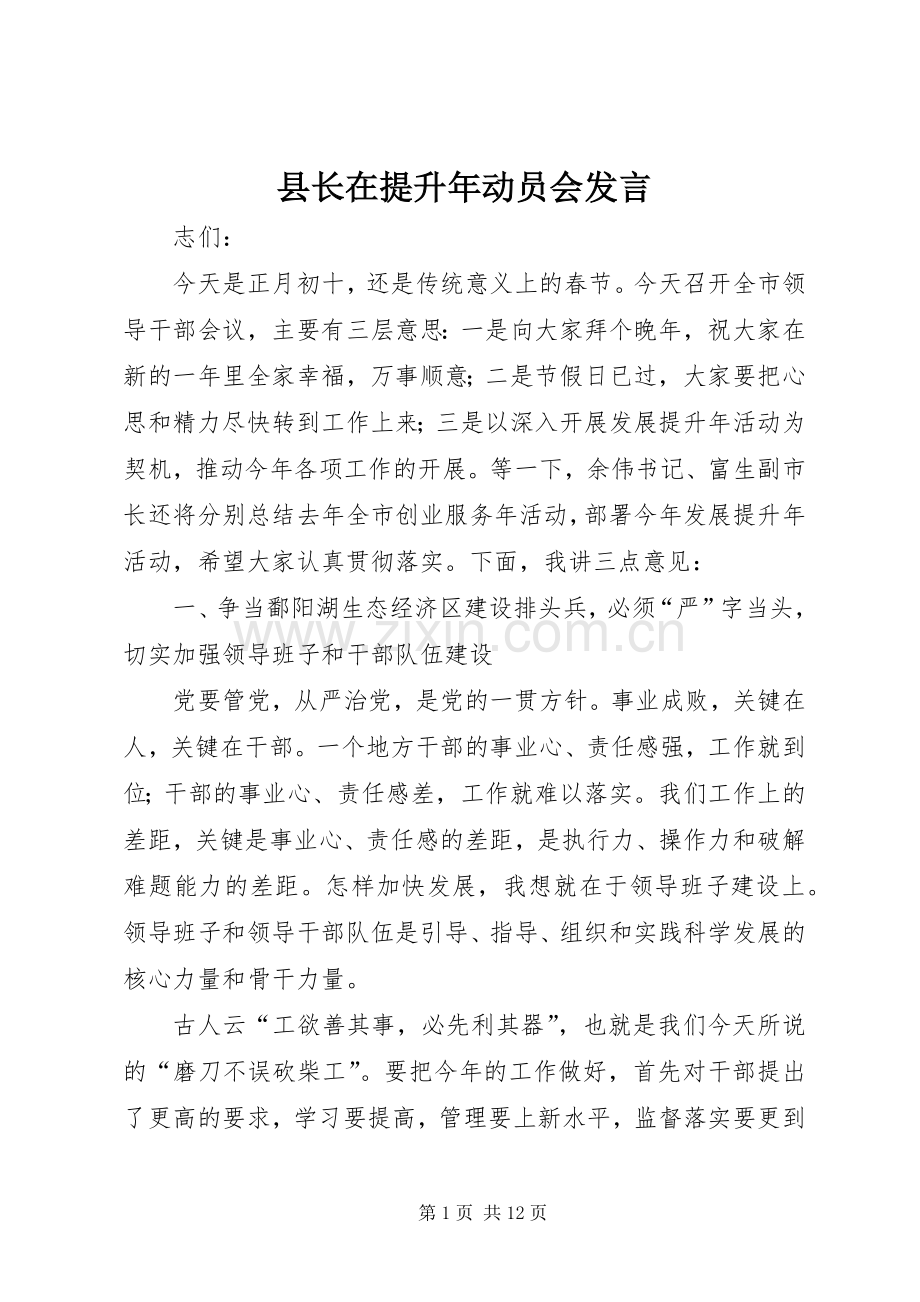 县长在提升年动员会发言.docx_第1页