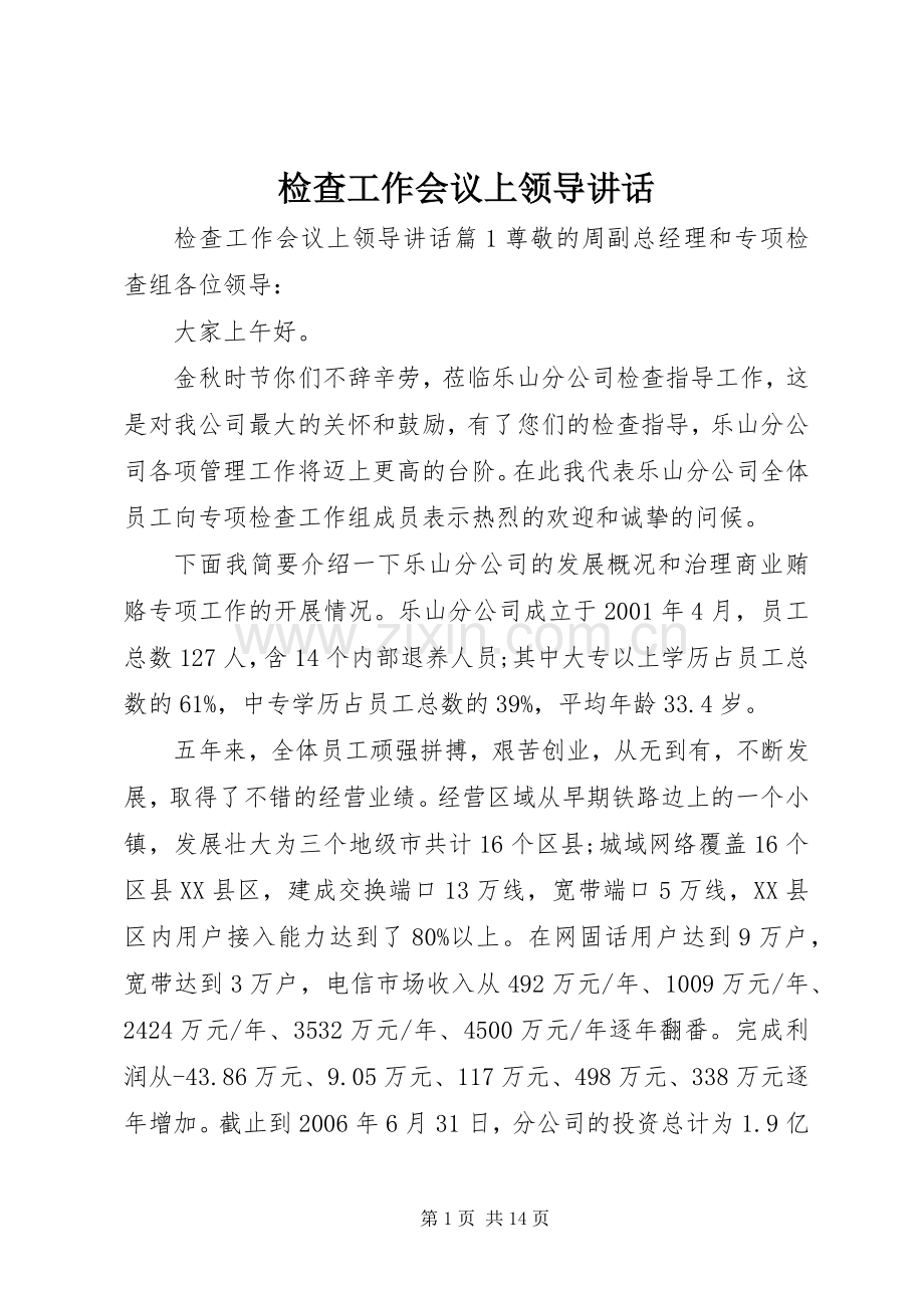 检查工作会议上领导讲话.docx_第1页