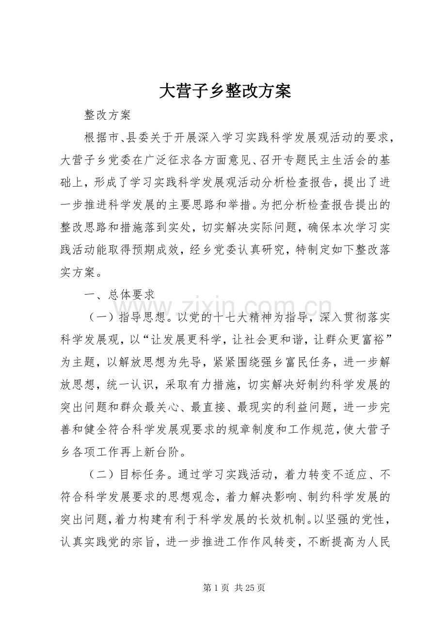 大营子乡整改实施方案.docx_第1页