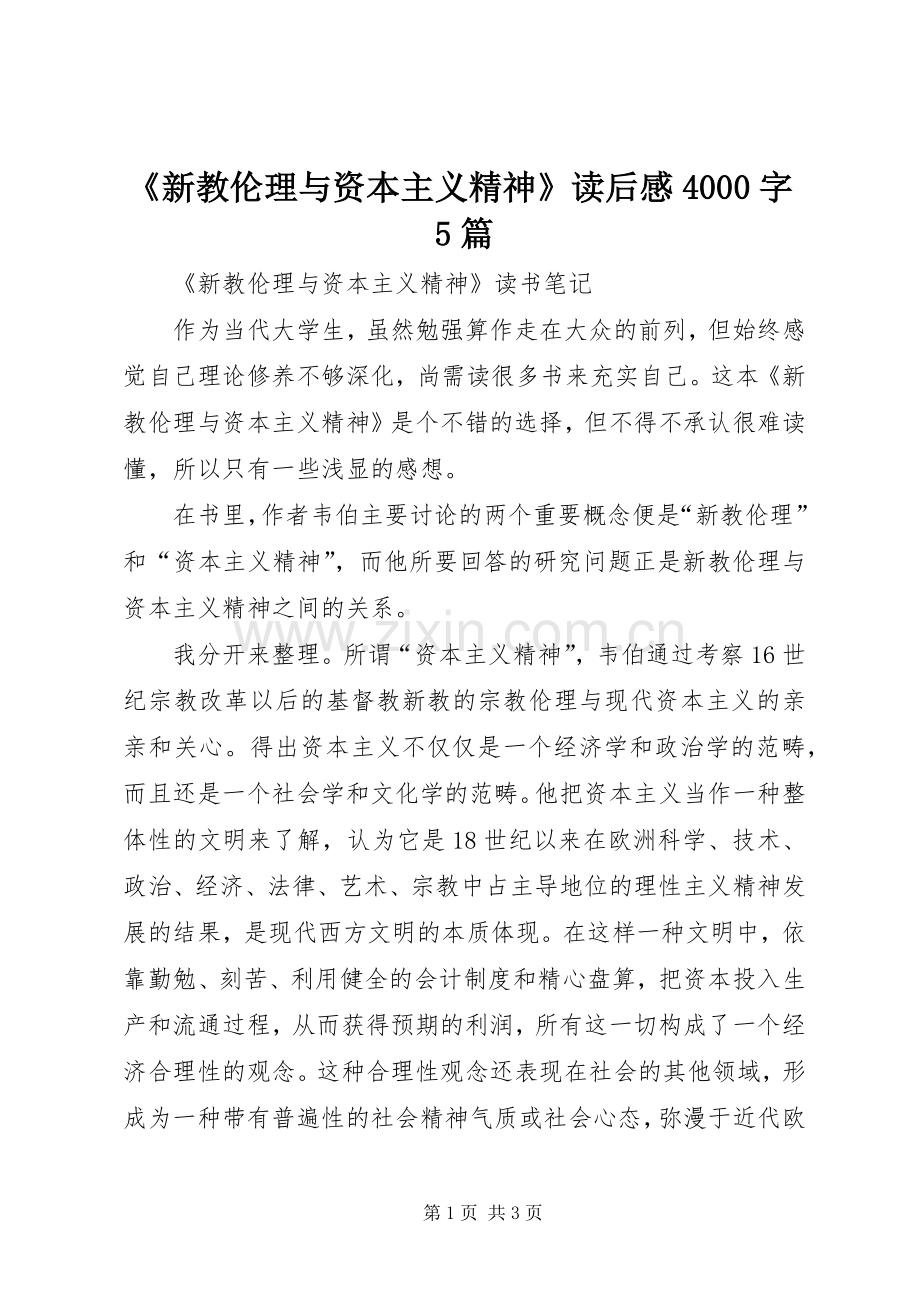 《新教伦理与资本主义精神》读后感4000字5篇 (4).docx_第1页