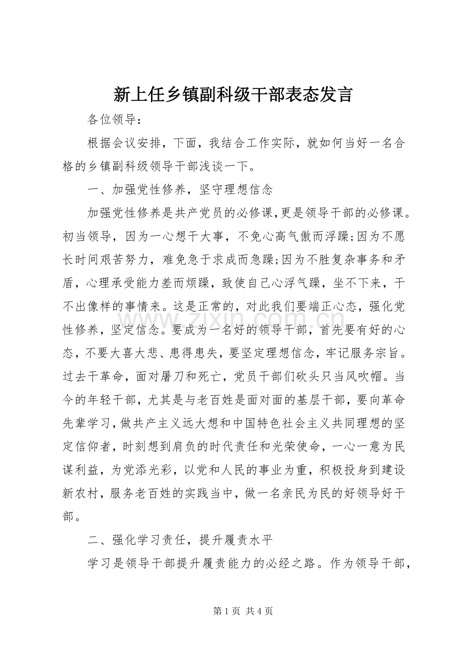 新上任乡镇副科级干部表态发言稿.docx_第1页