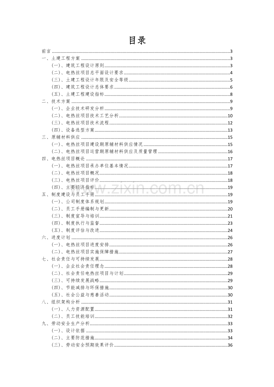 电热丝项目可行性研究报告.docx_第2页