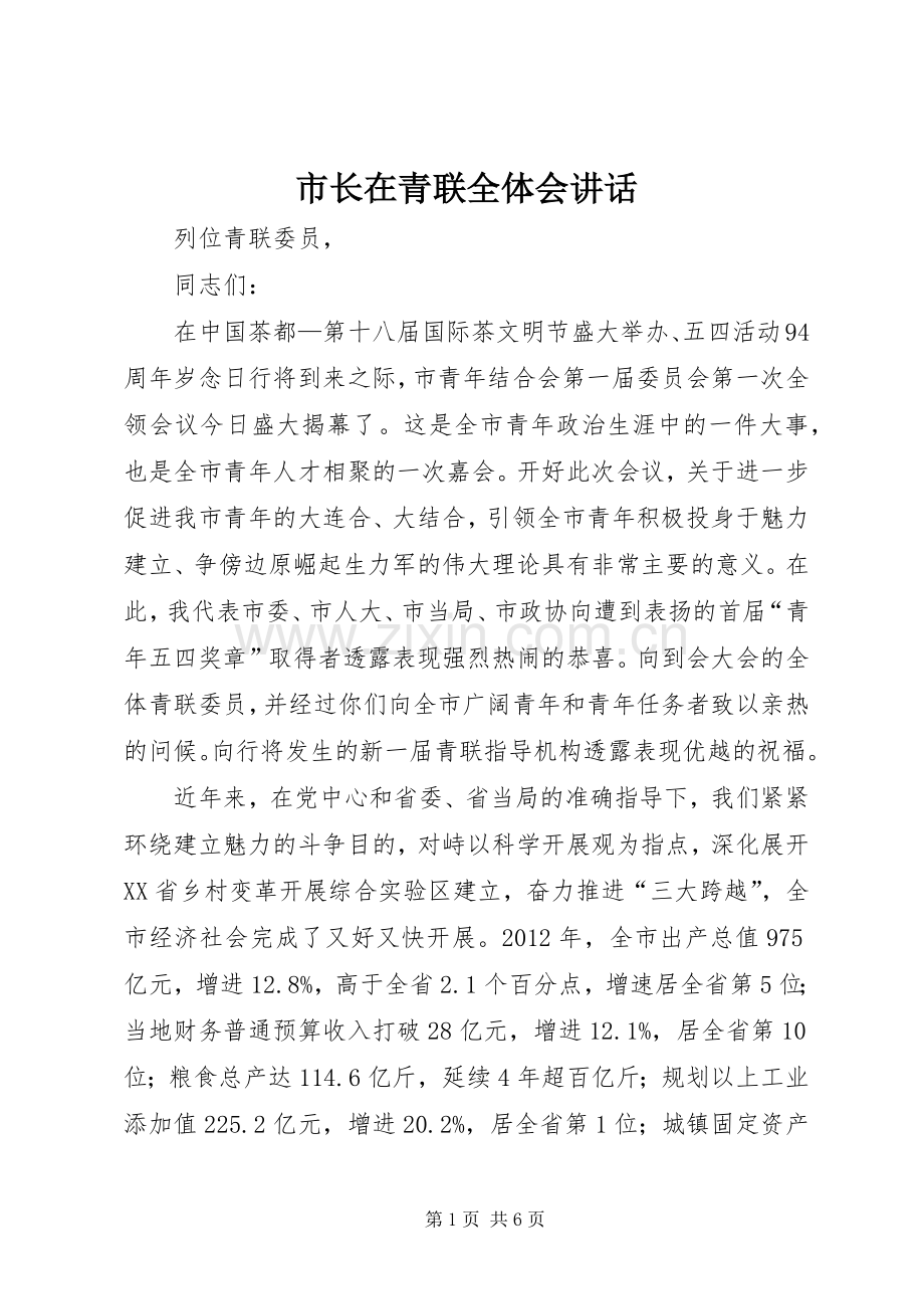 市长在青联全体会讲话.docx_第1页